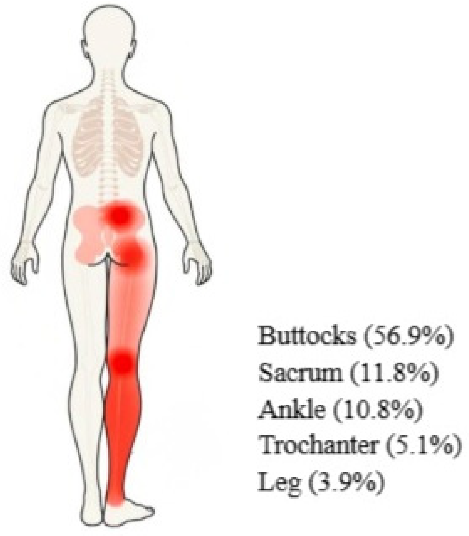 Healthcare 13 00153 g001