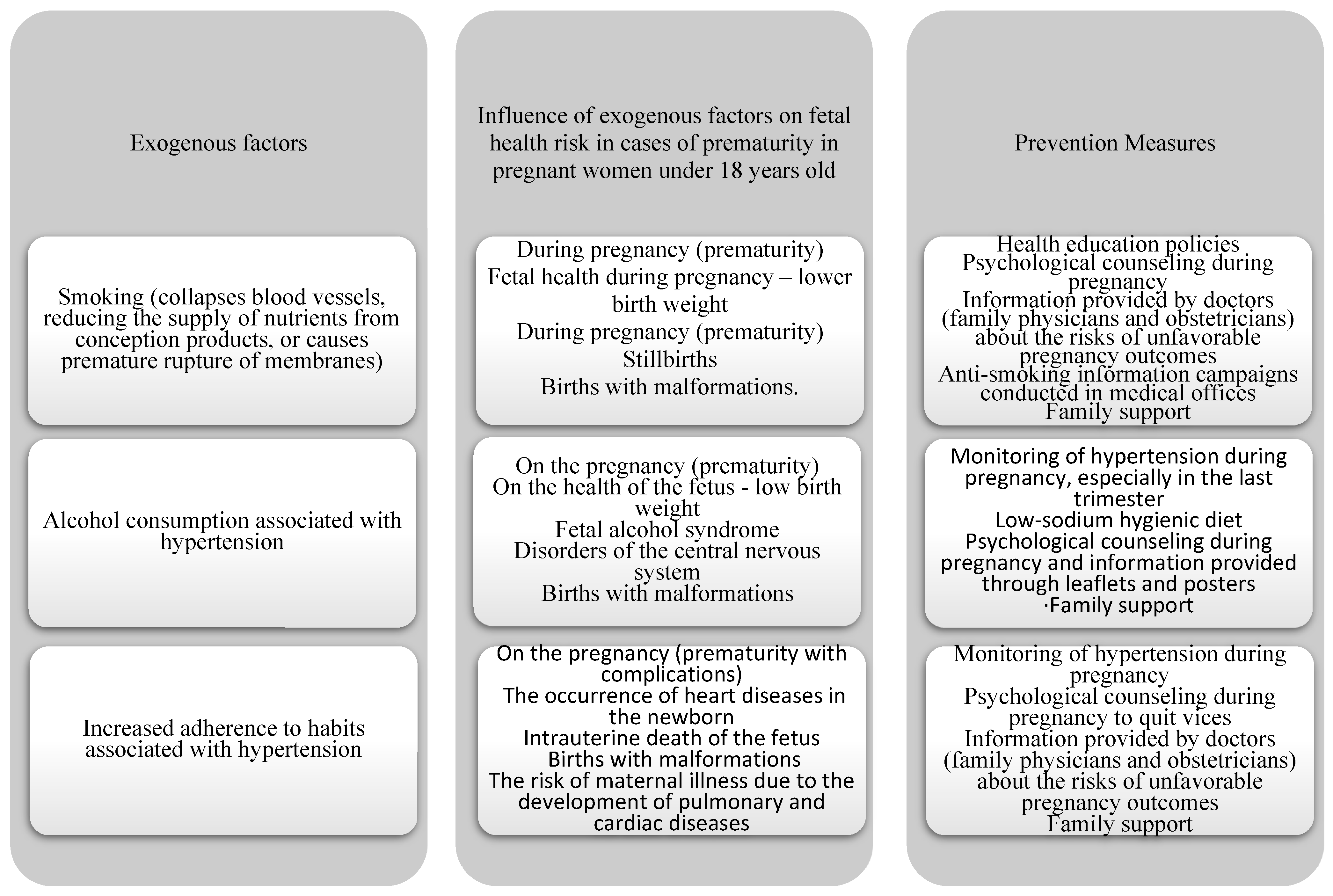 Healthcare 13 00197 g001