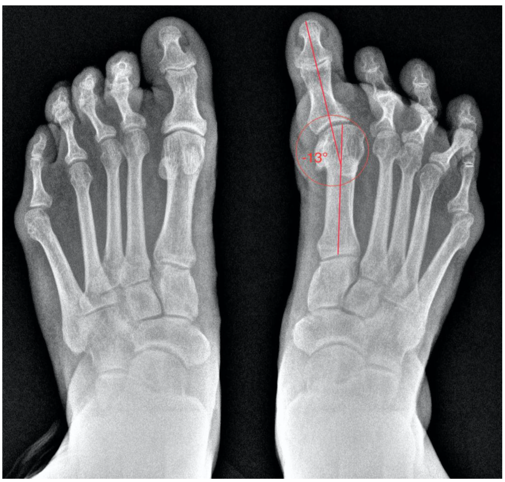 Healthcare 13 00217 g002