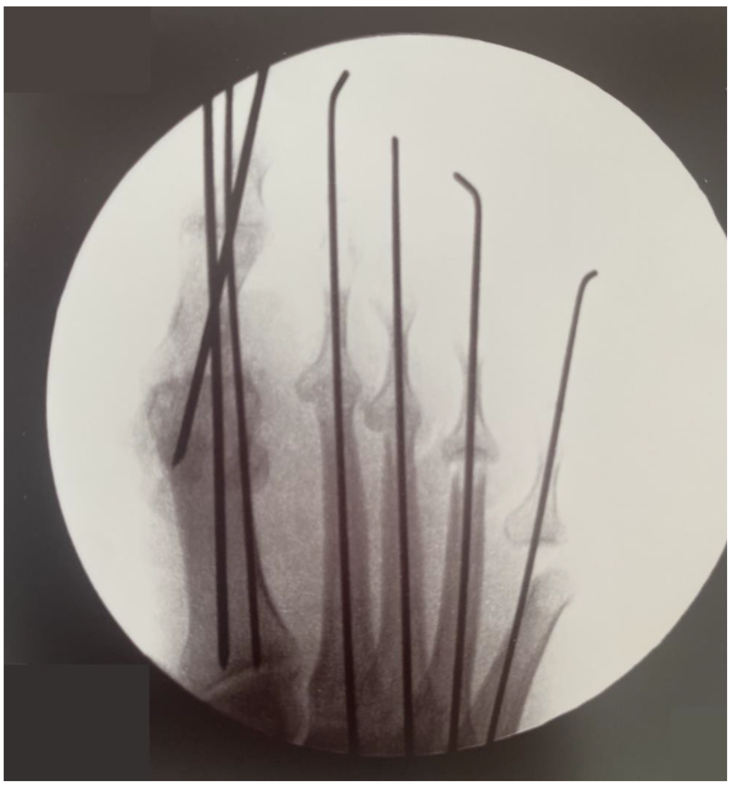 Healthcare 13 00217 g003