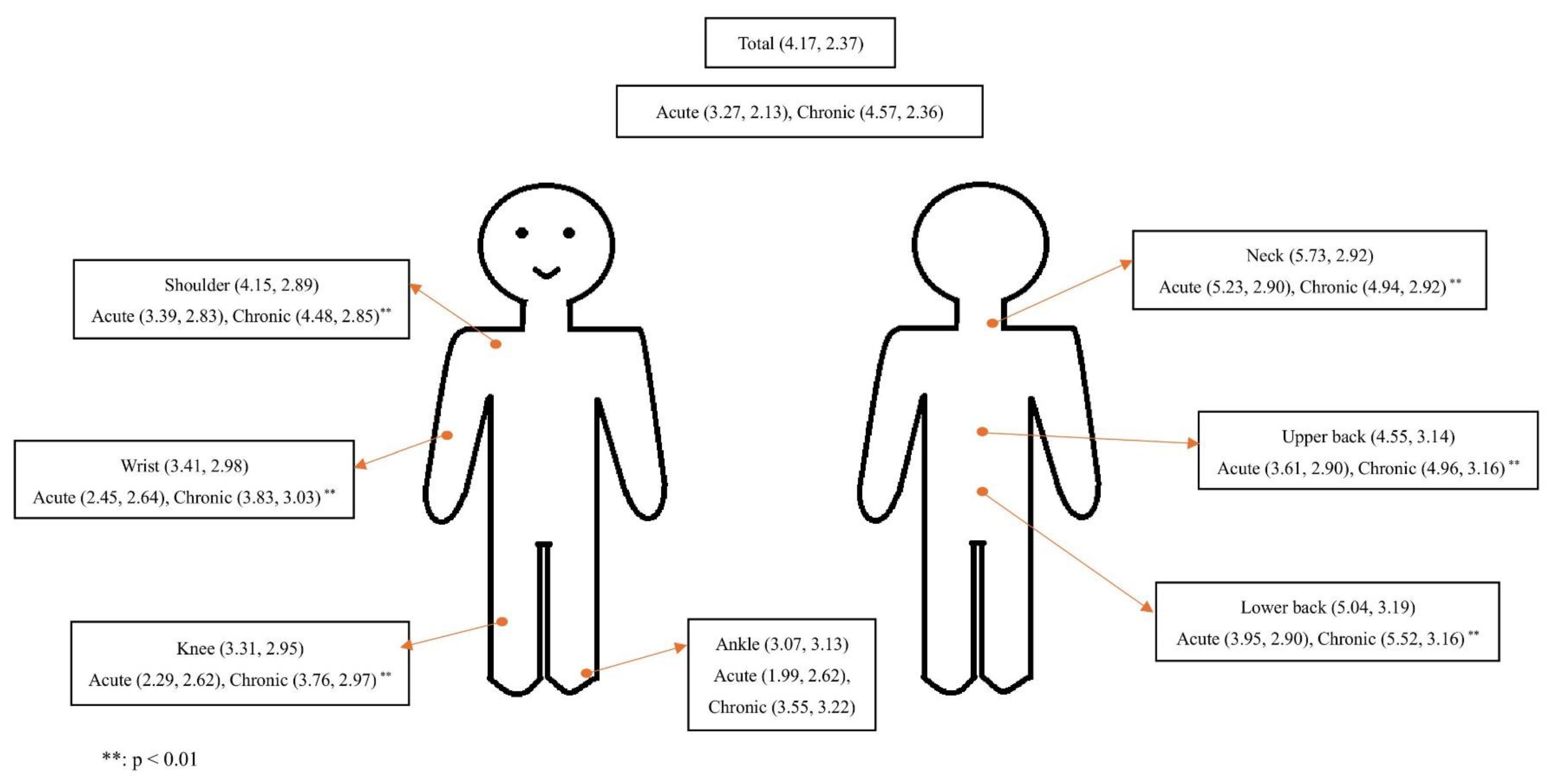 Healthcare 13 00289 g001