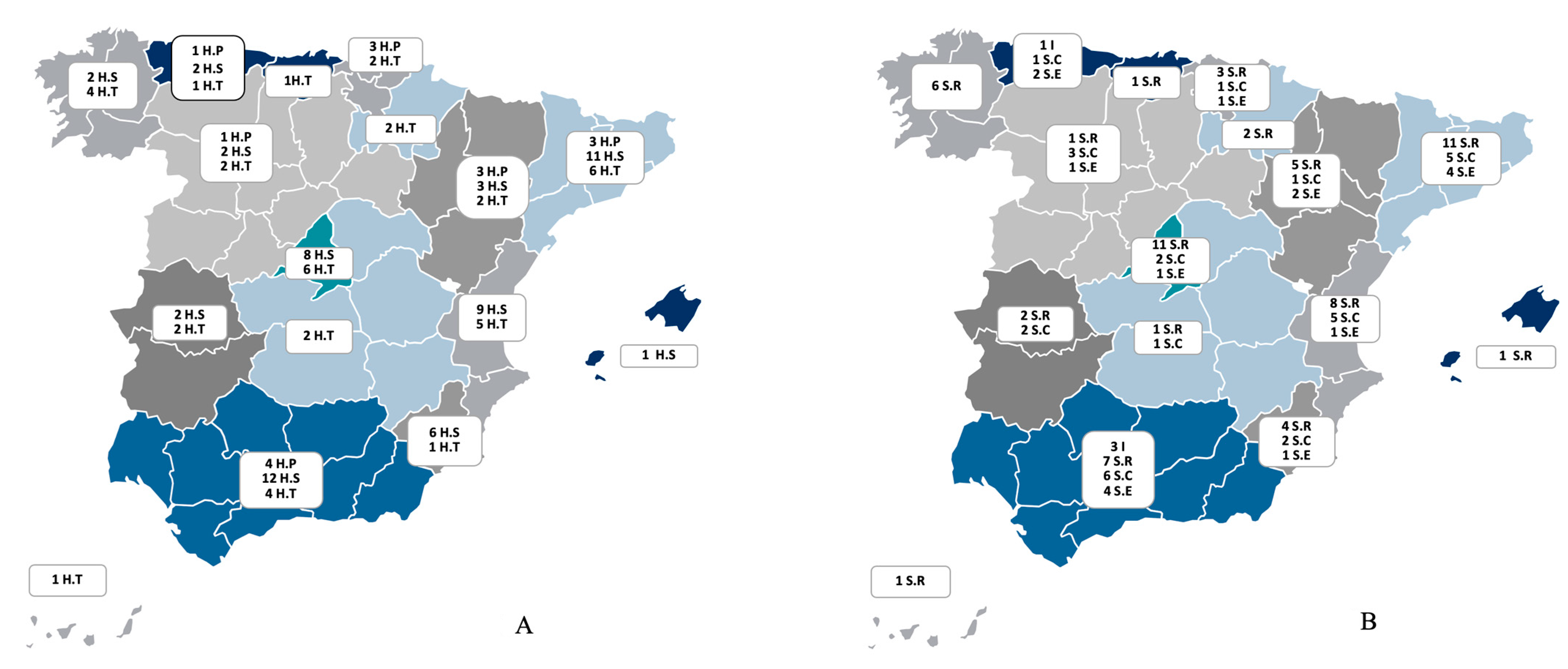 Healthcare 13 00317 g001