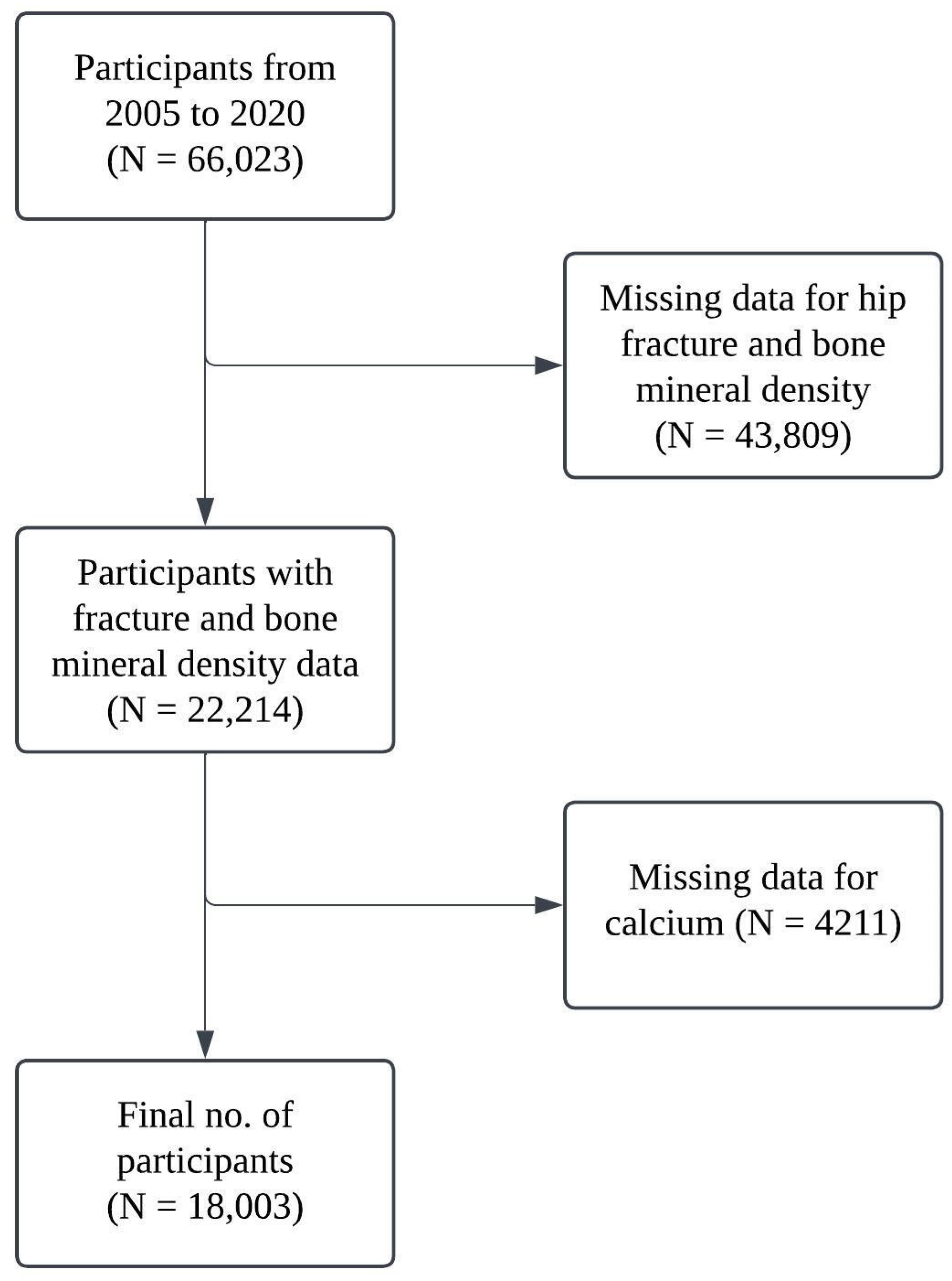 Healthcare 13 00356 g001