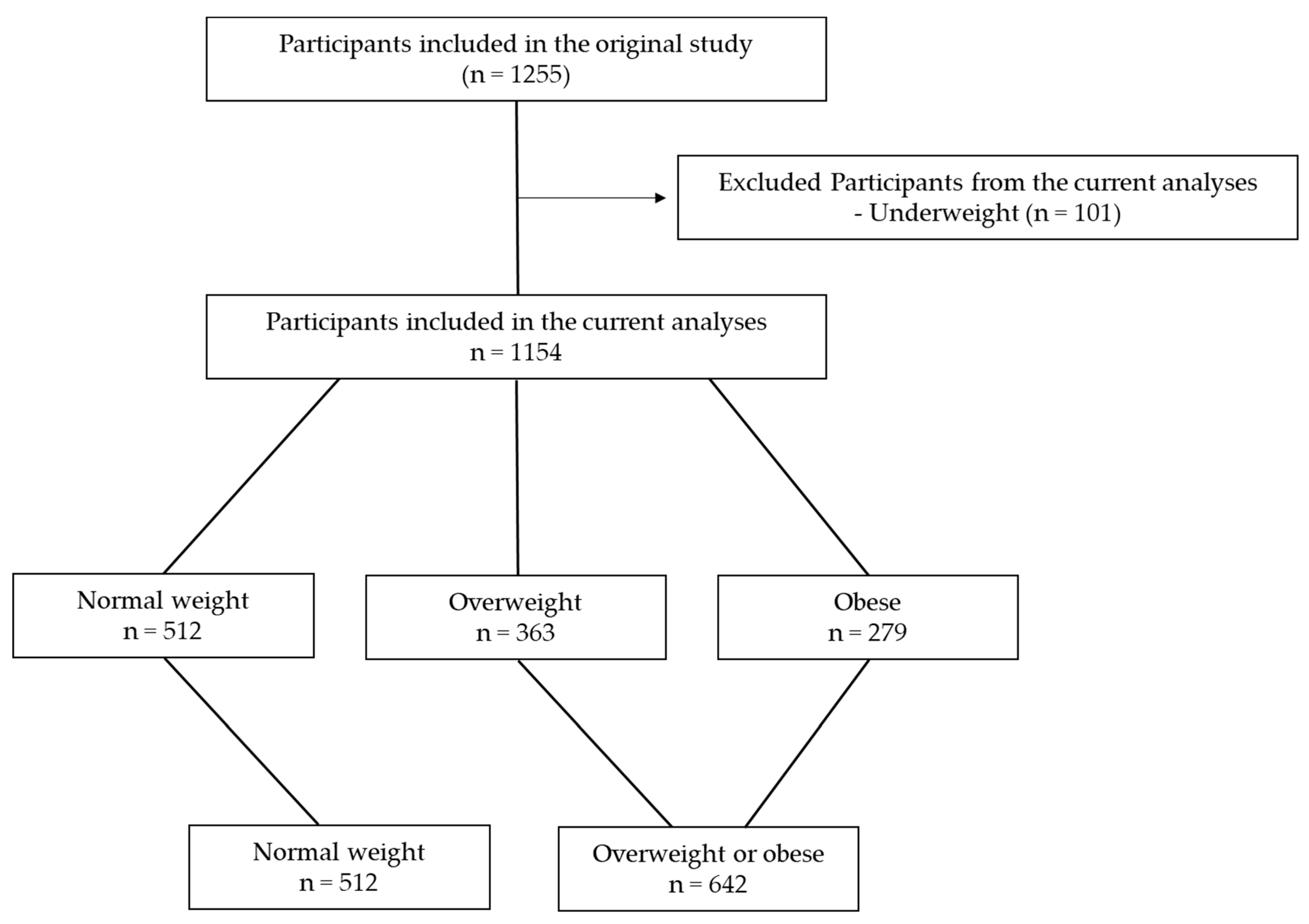 Healthcare 13 00361 g001