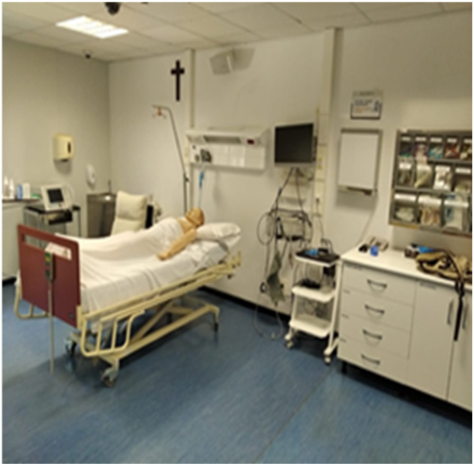 Healthcare 13 00398 g001