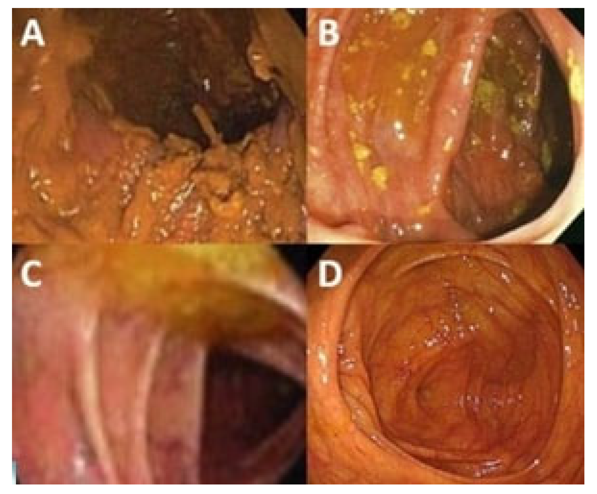 Healthcare 13 00400 g002