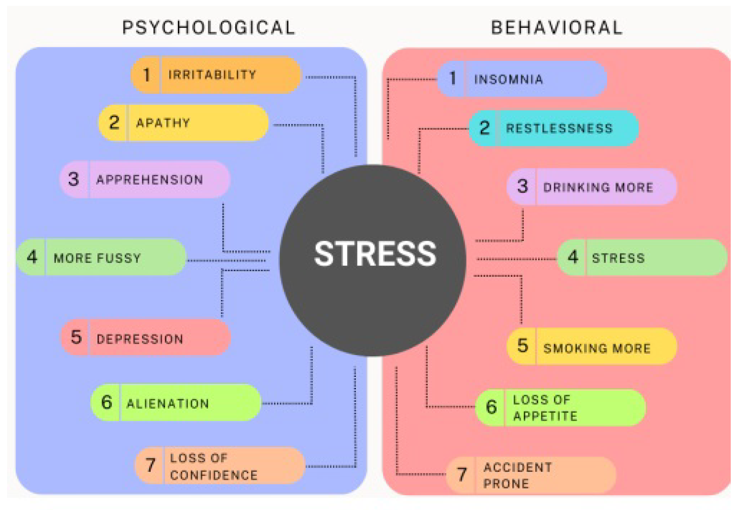 Healthcare 13 00411 g001