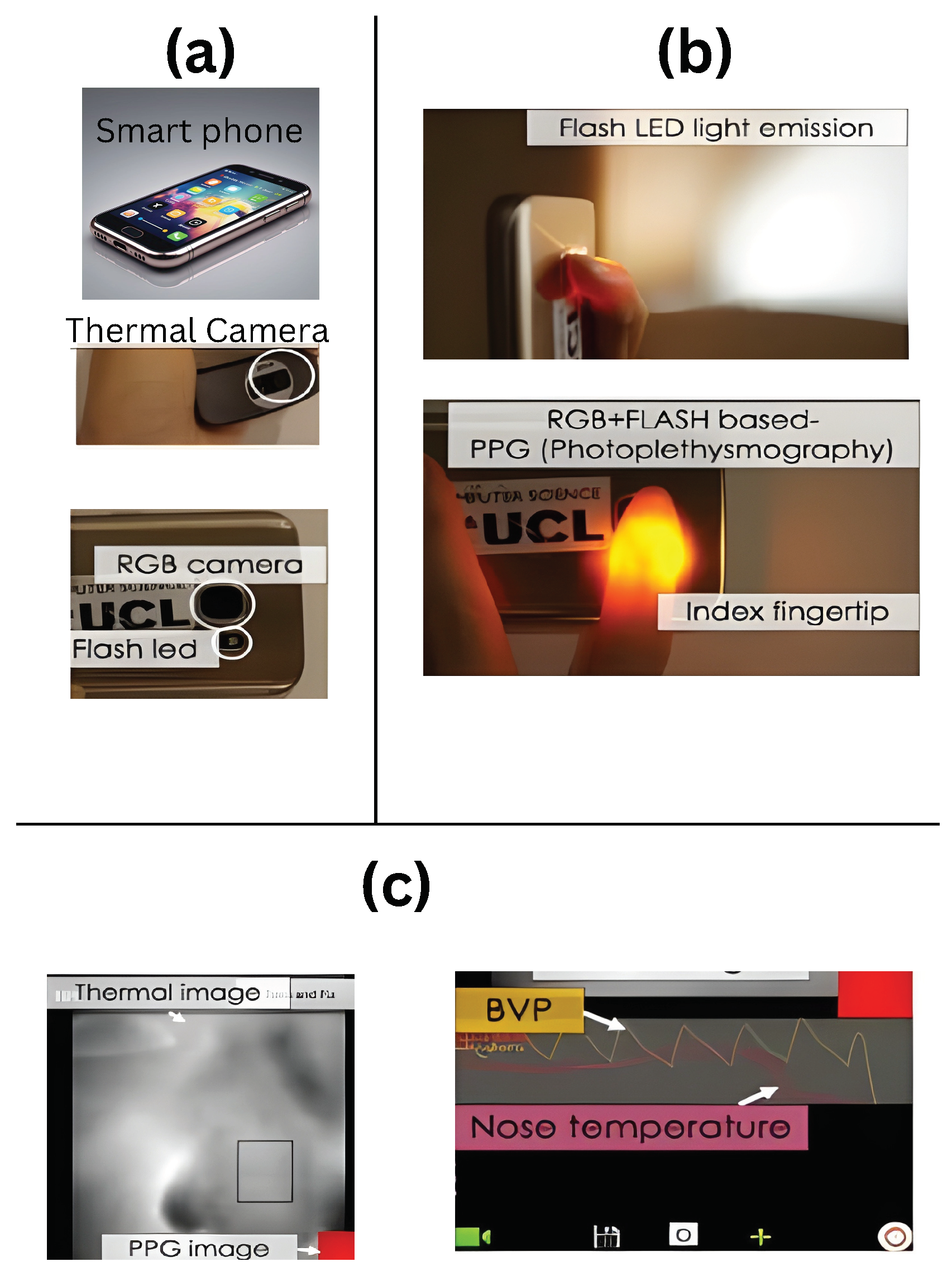Healthcare 13 00411 g004