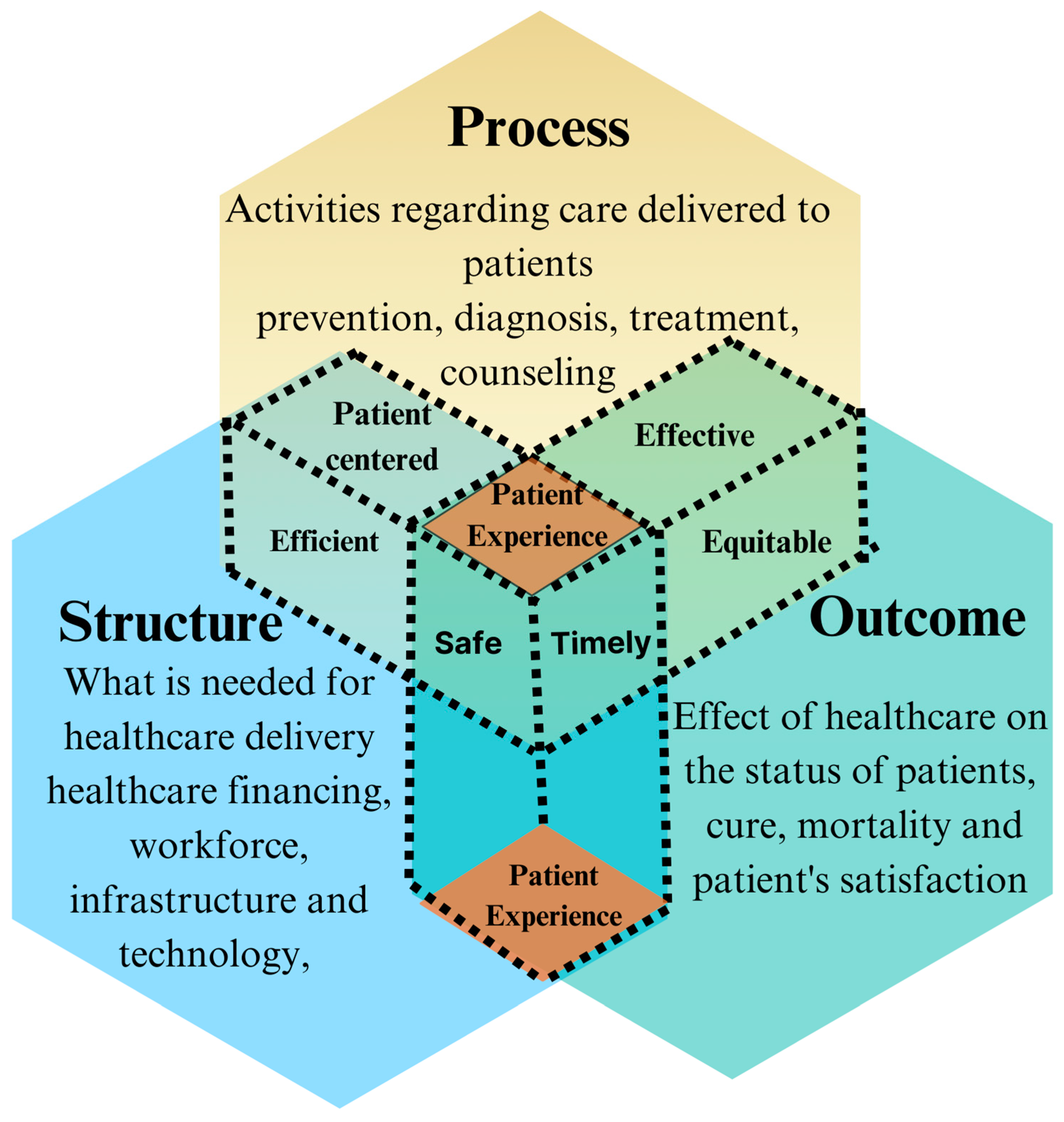 Healthcare 13 00412 g001