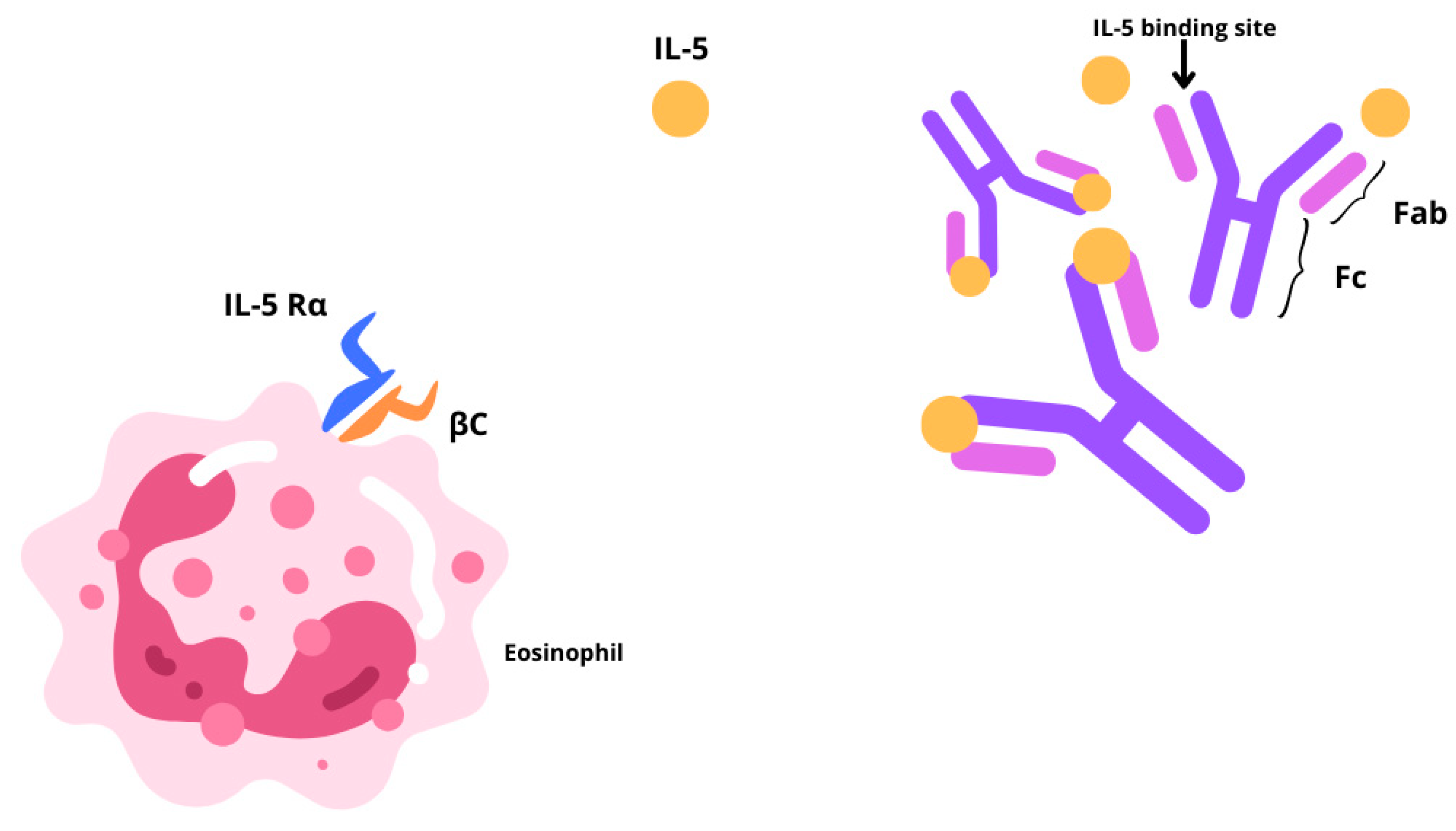 Healthcare 13 00419 g001