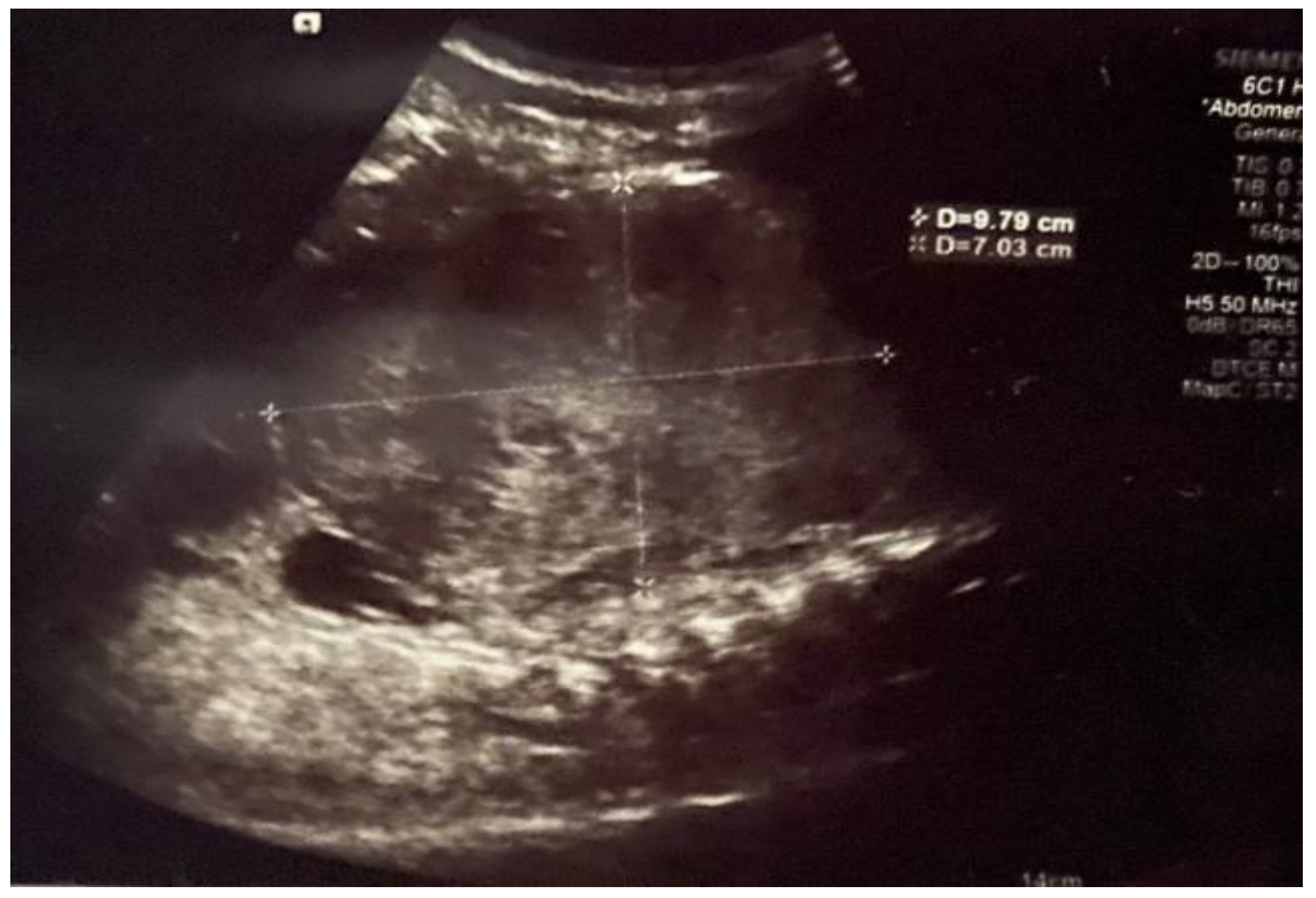 Healthcare 13 00460 g001