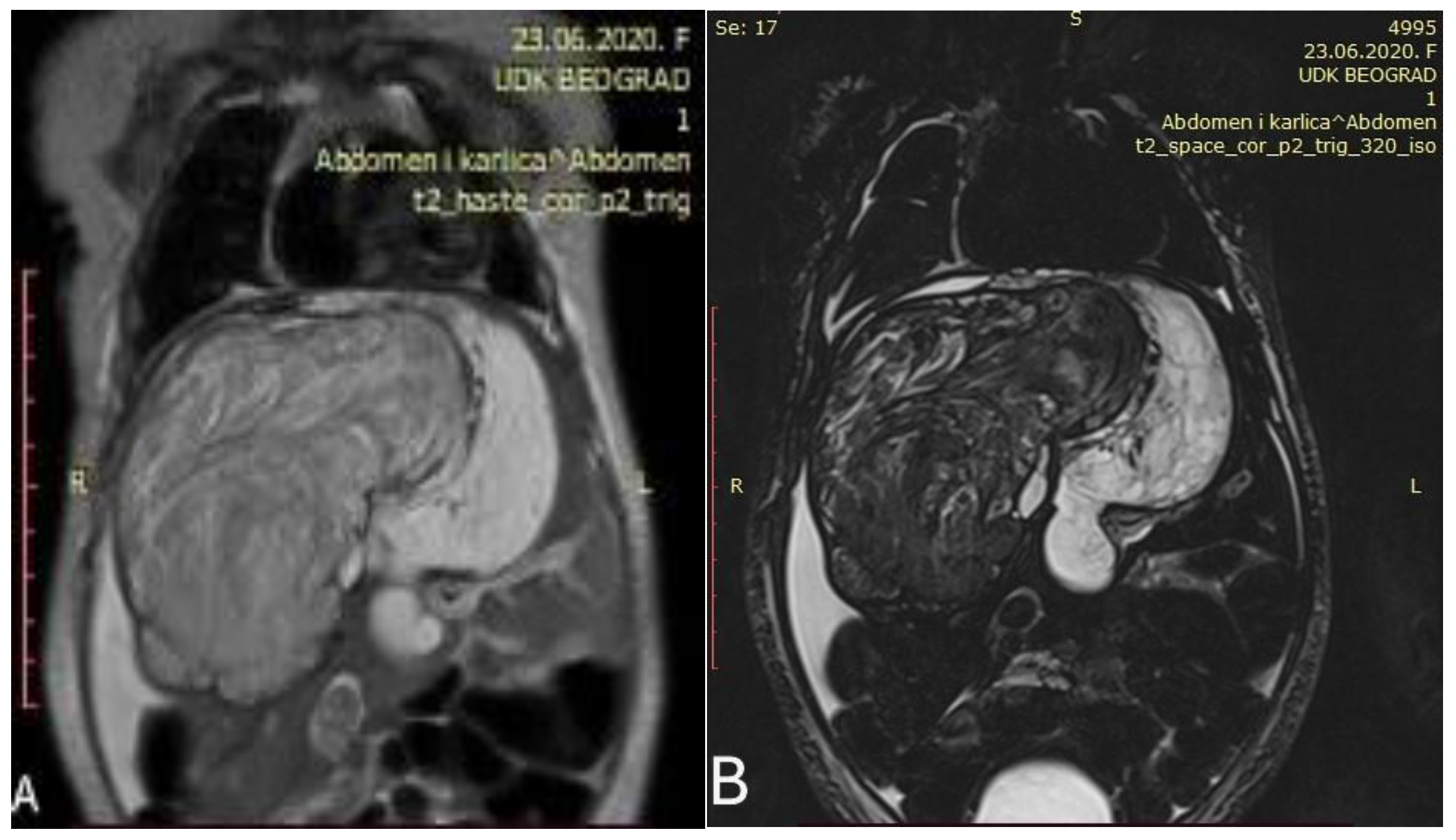 Healthcare 13 00460 g002