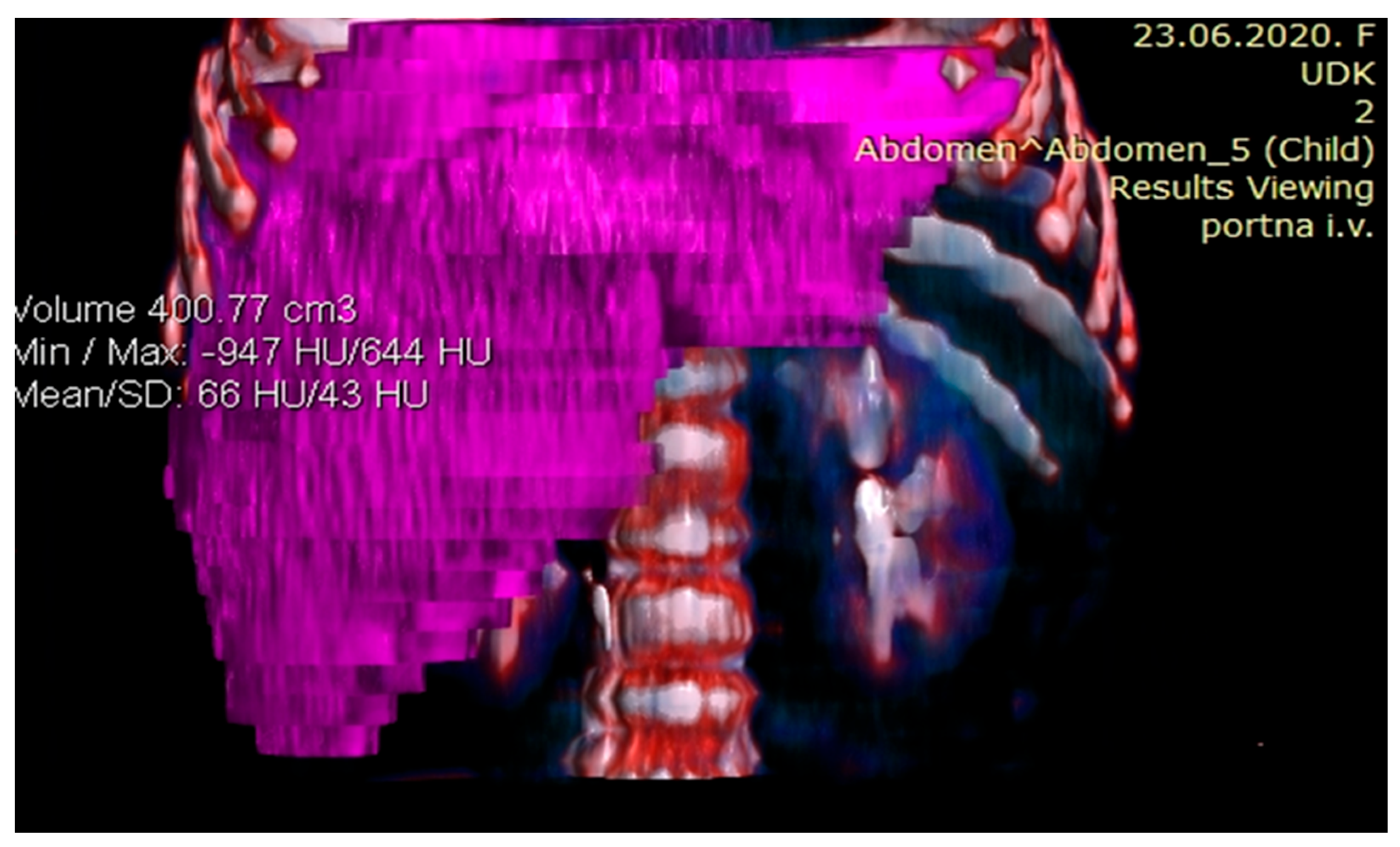 Healthcare 13 00460 g004