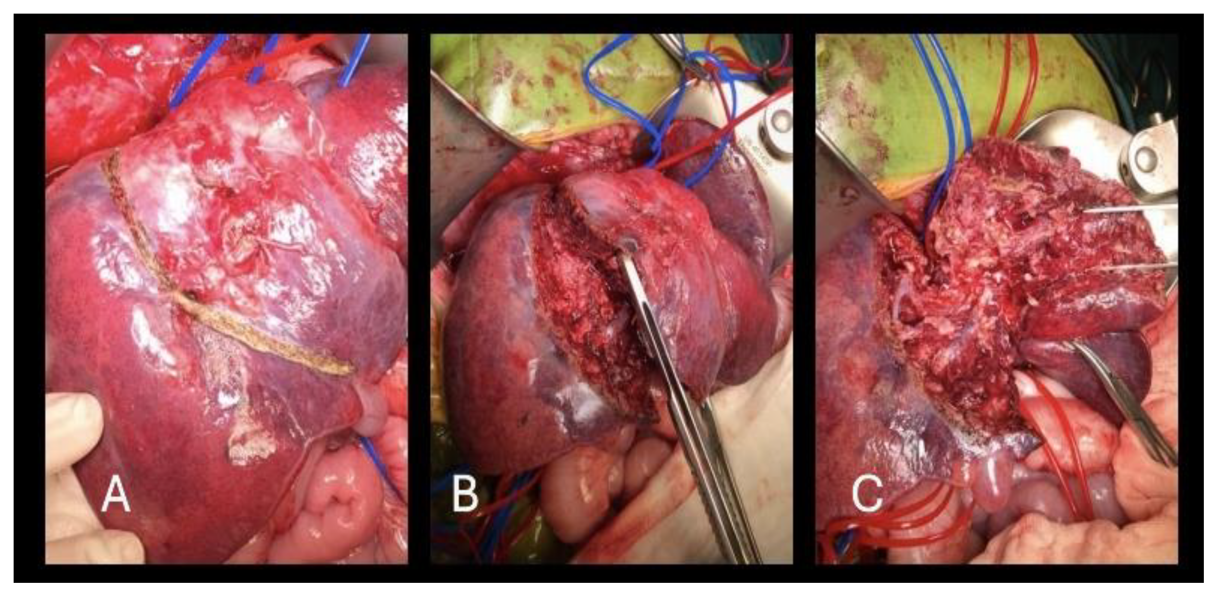 Healthcare 13 00460 g006