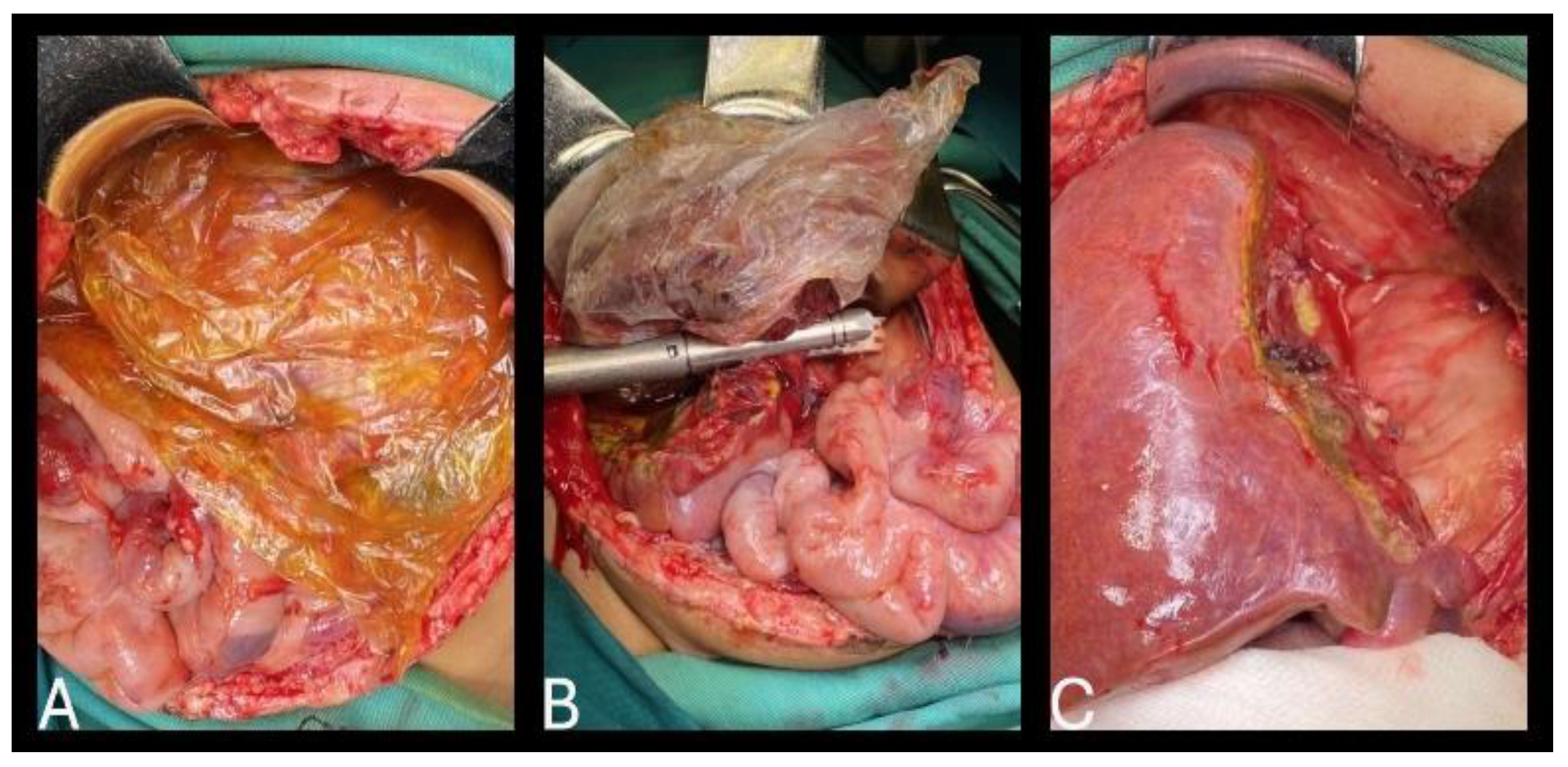 Healthcare 13 00460 g008