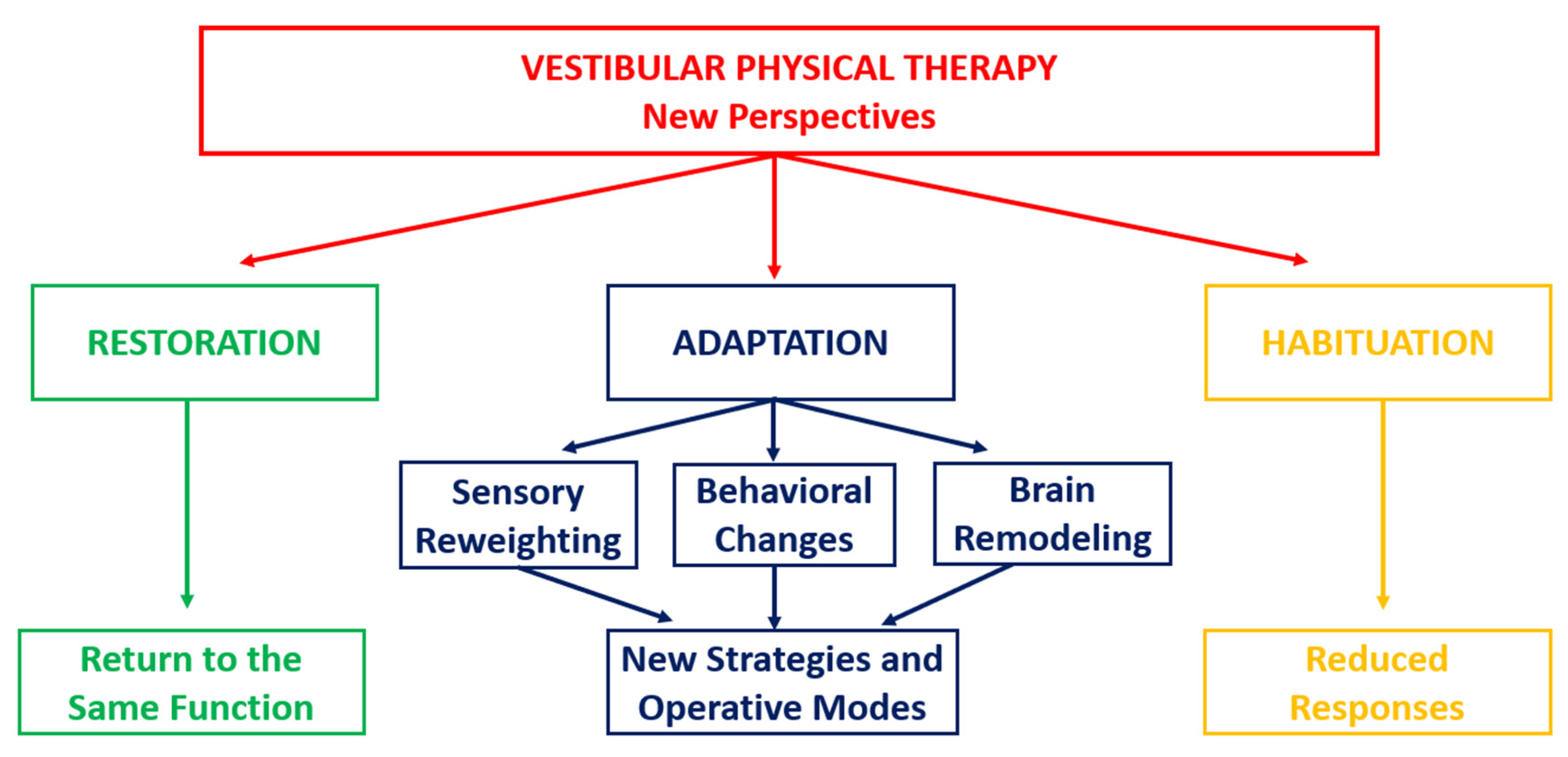 Healthcare 13 00492 g001