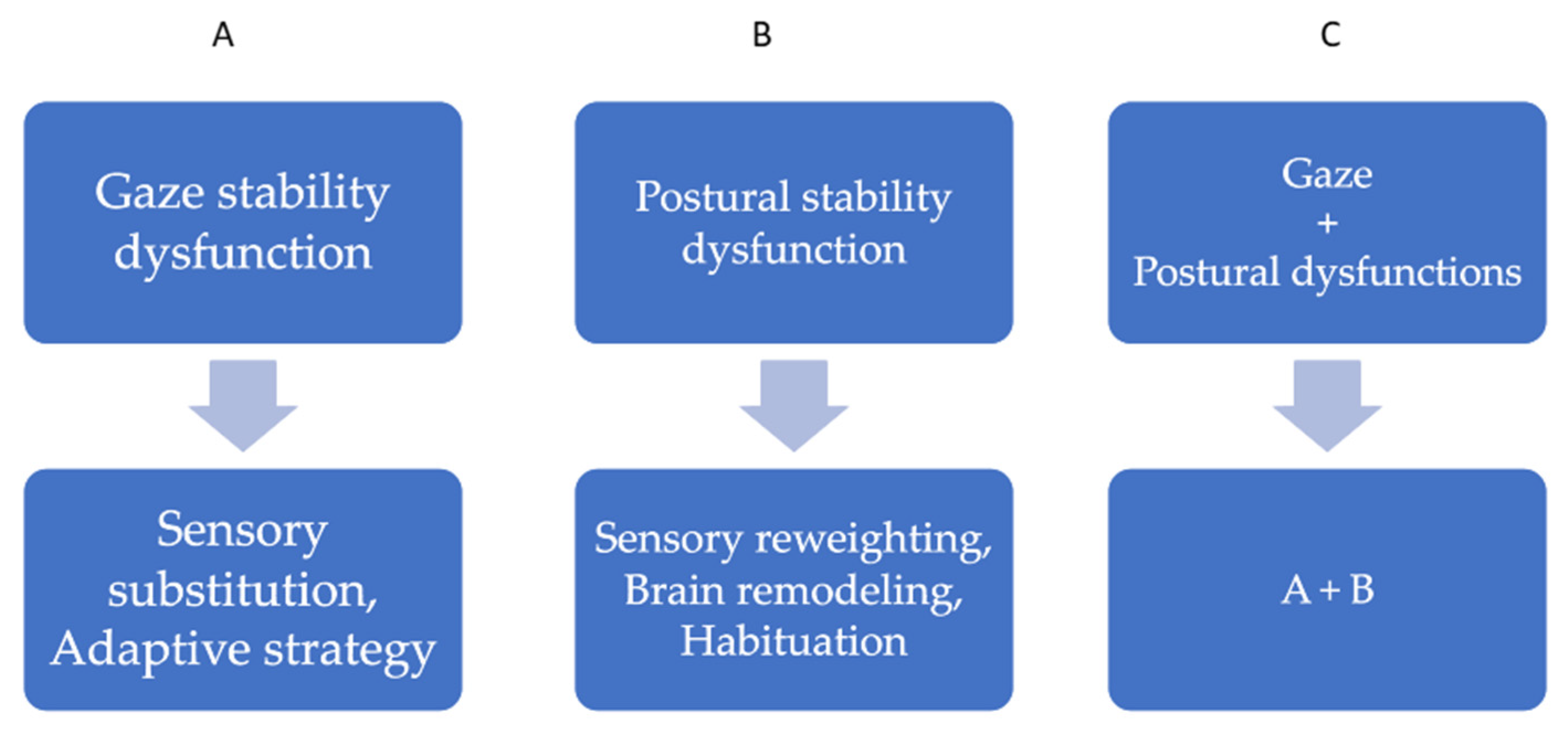 Healthcare 13 00492 g006