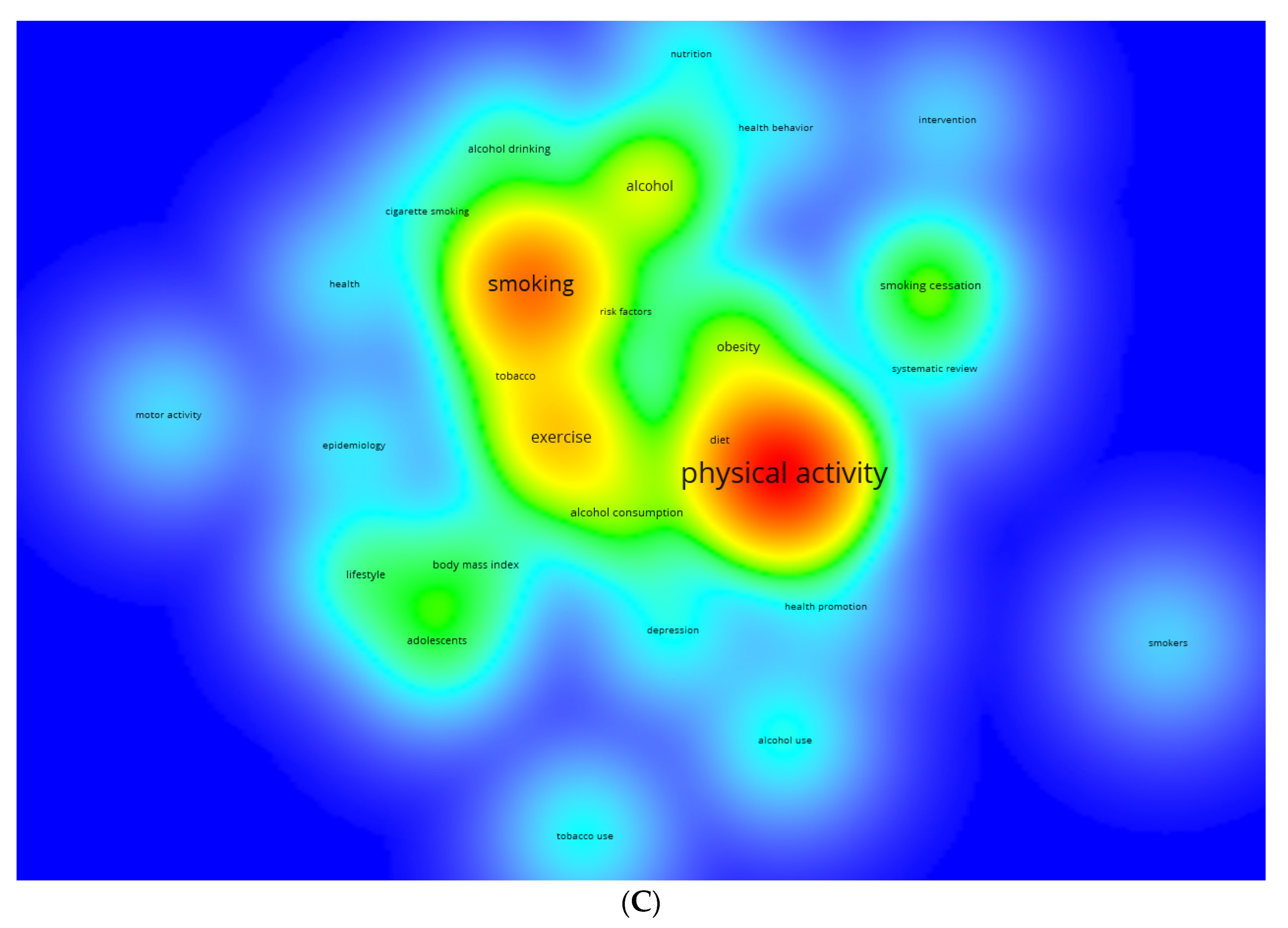 Healthcare 13 00529 g008b