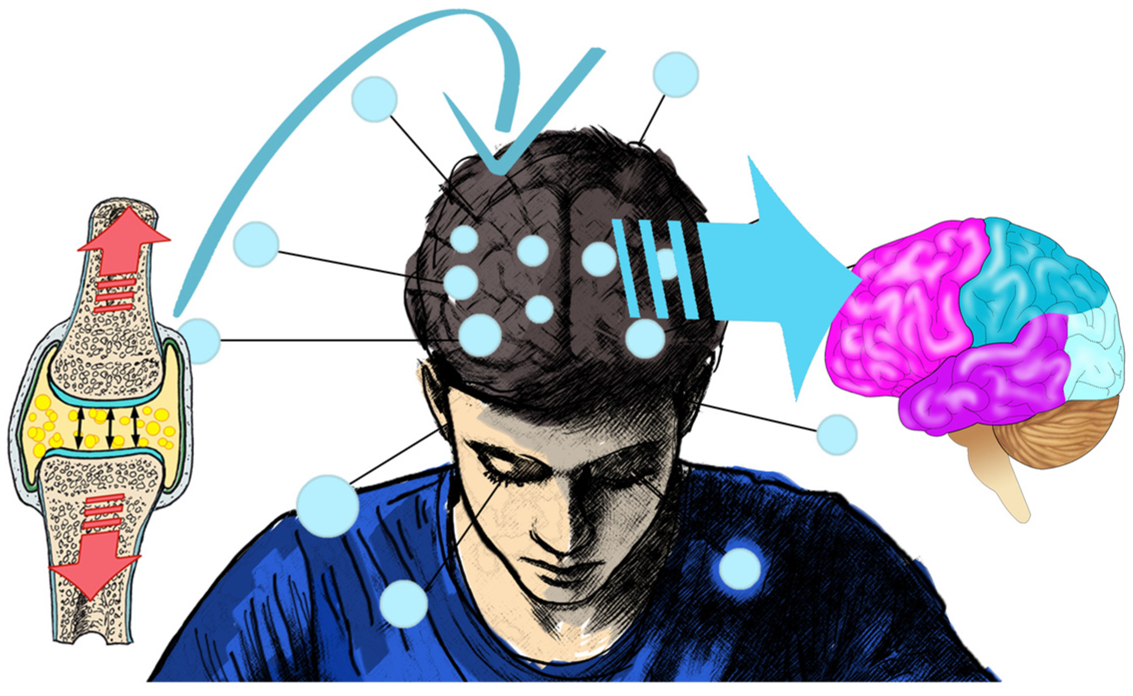 Healthcare 13 00554 g002