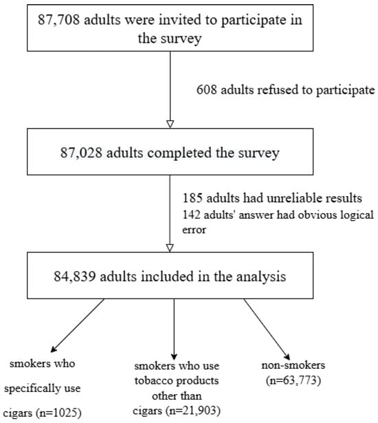 Healthcare 13 00583 g0a2