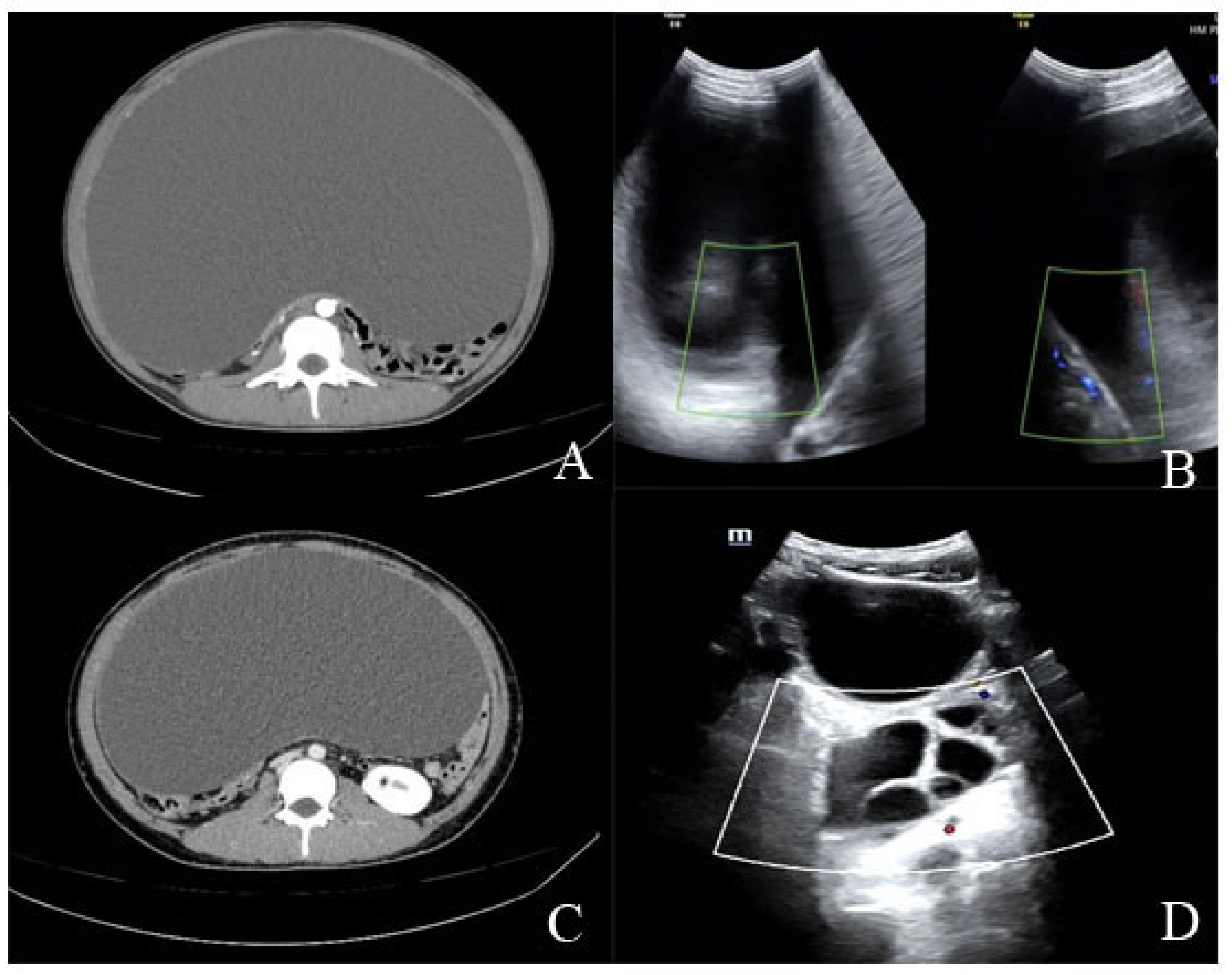 Healthcare 13 00656 g001
