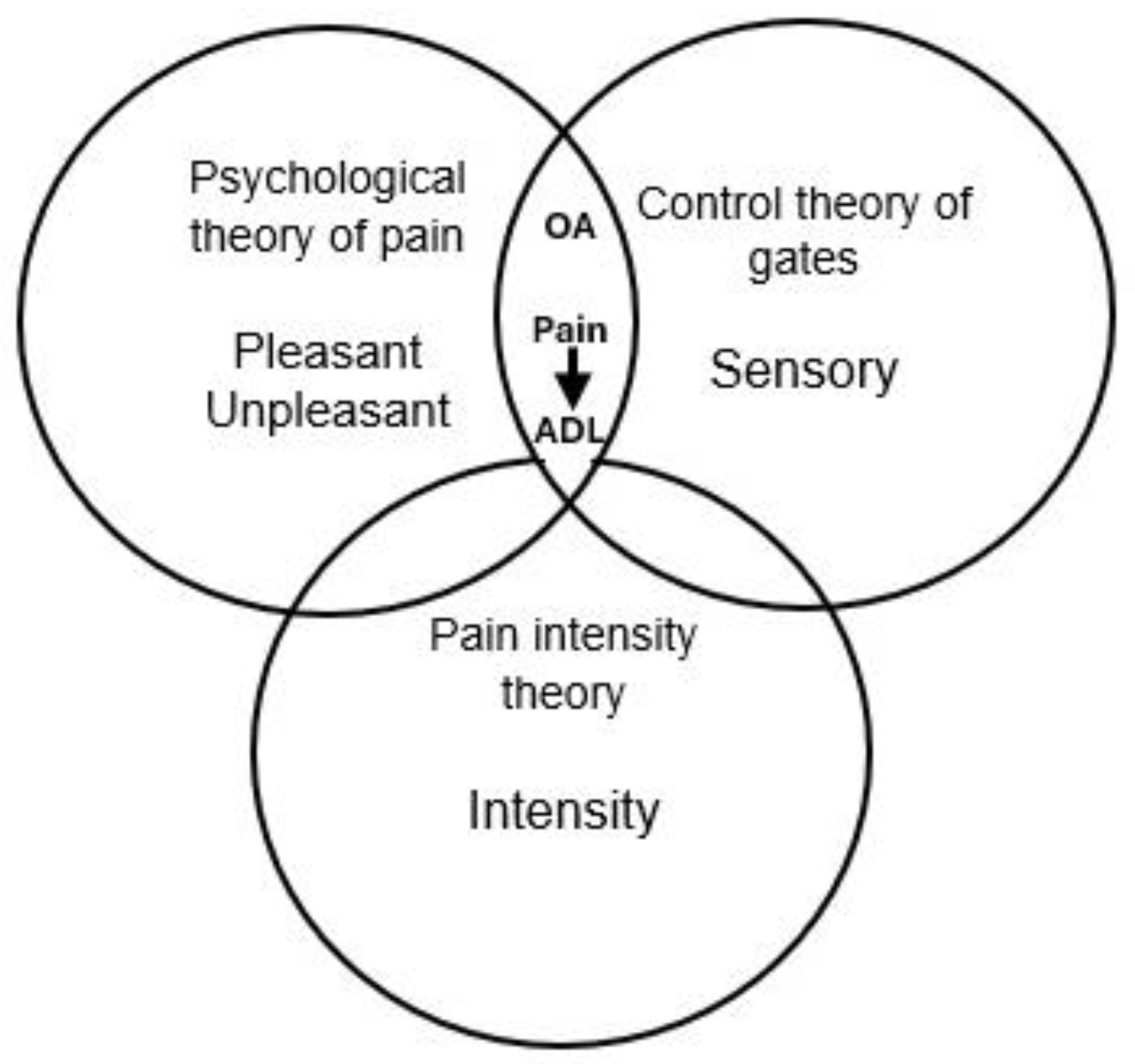 Healthcare 13 00660 g001