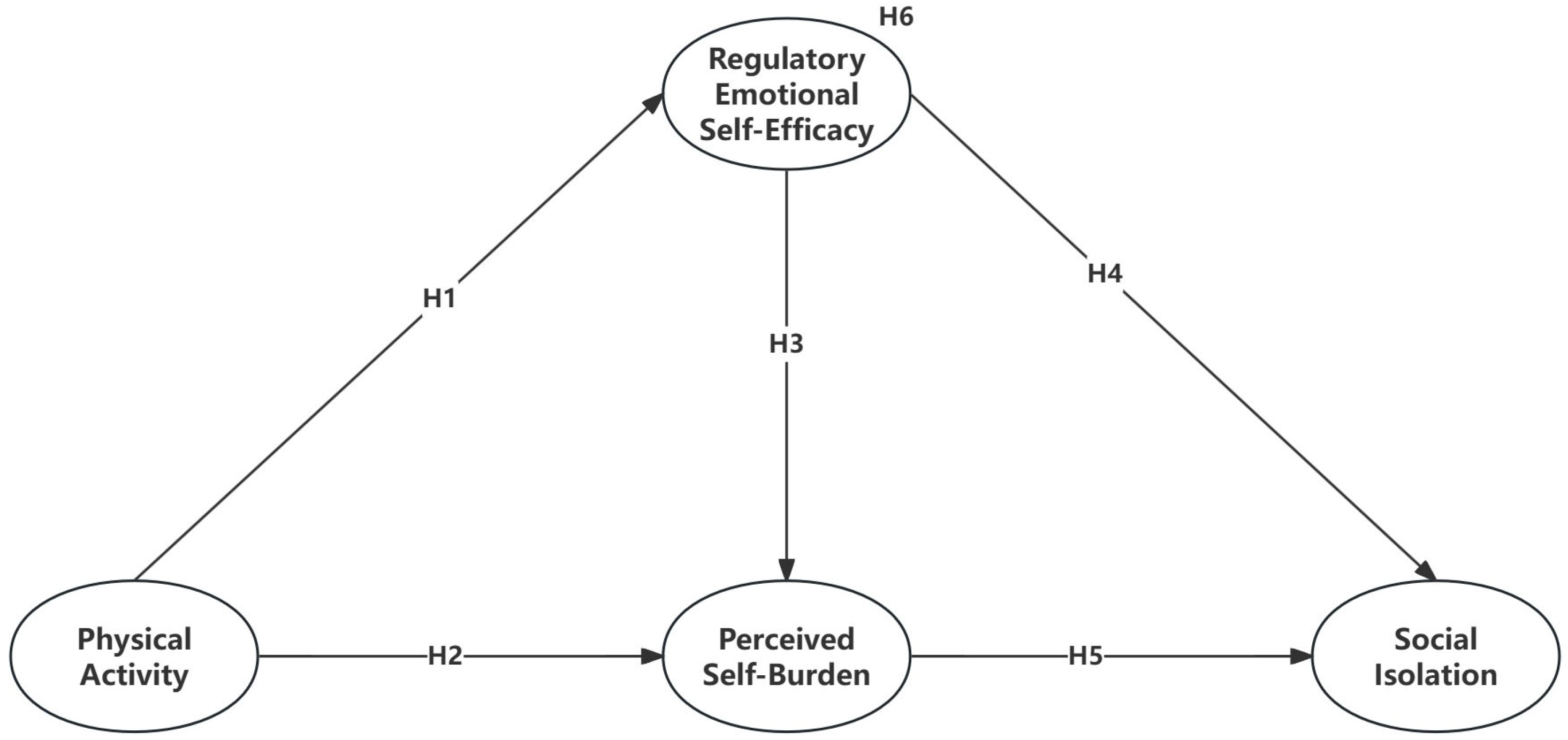 Healthcare 13 00687 g001