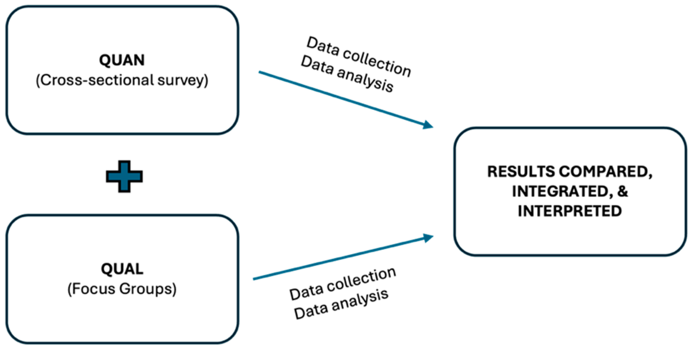 Healthcare 13 00724 g001