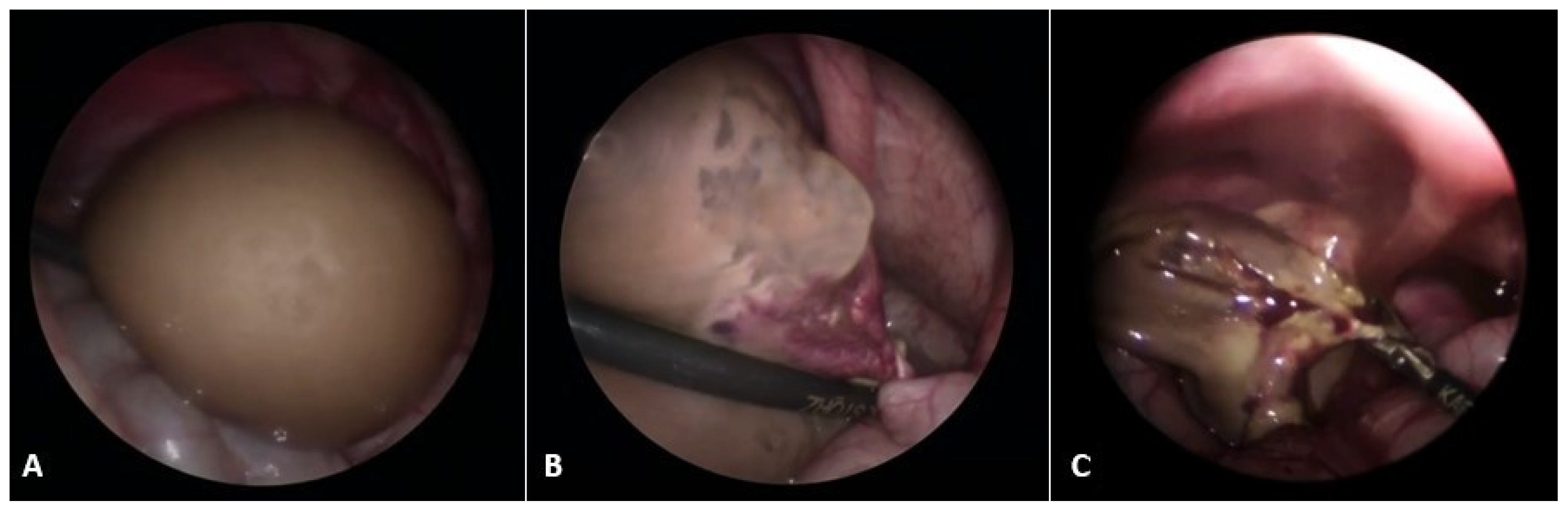 Healthcare 13 00775 g001