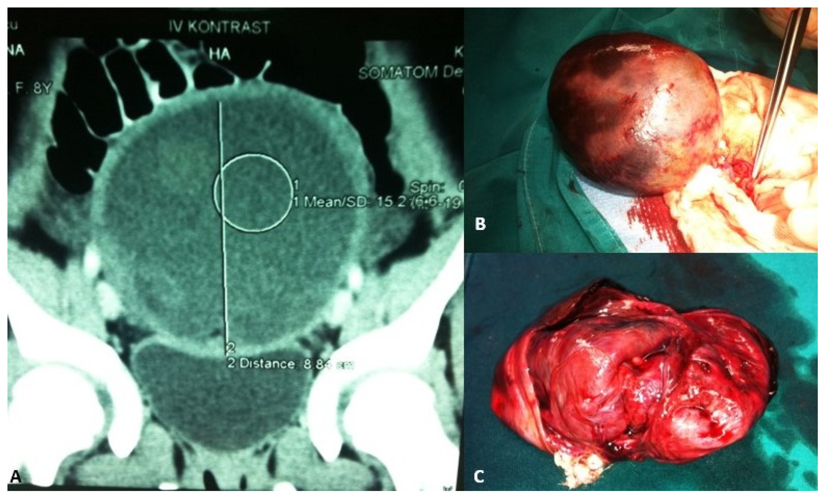Healthcare 13 00775 g002