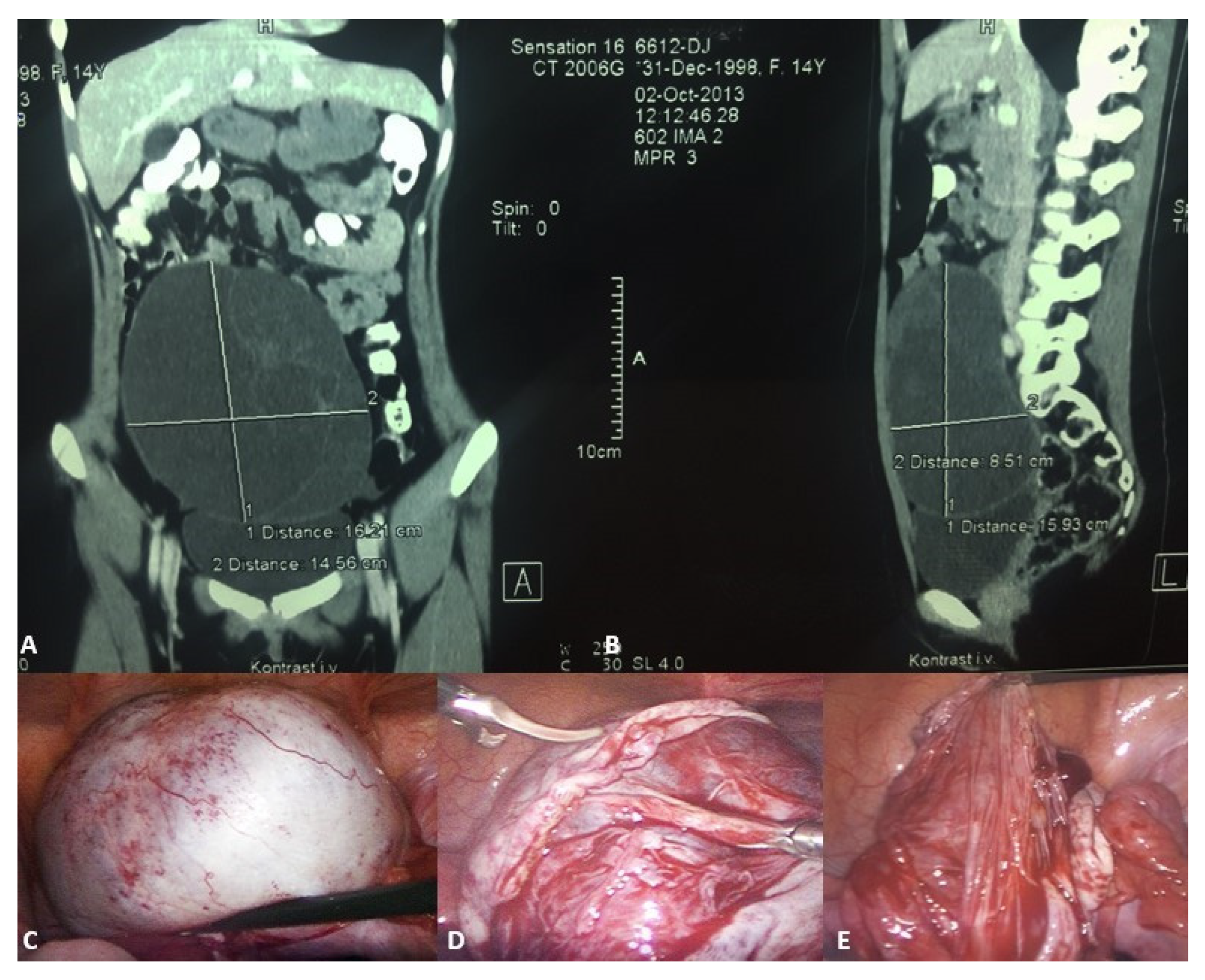 Healthcare 13 00775 g003