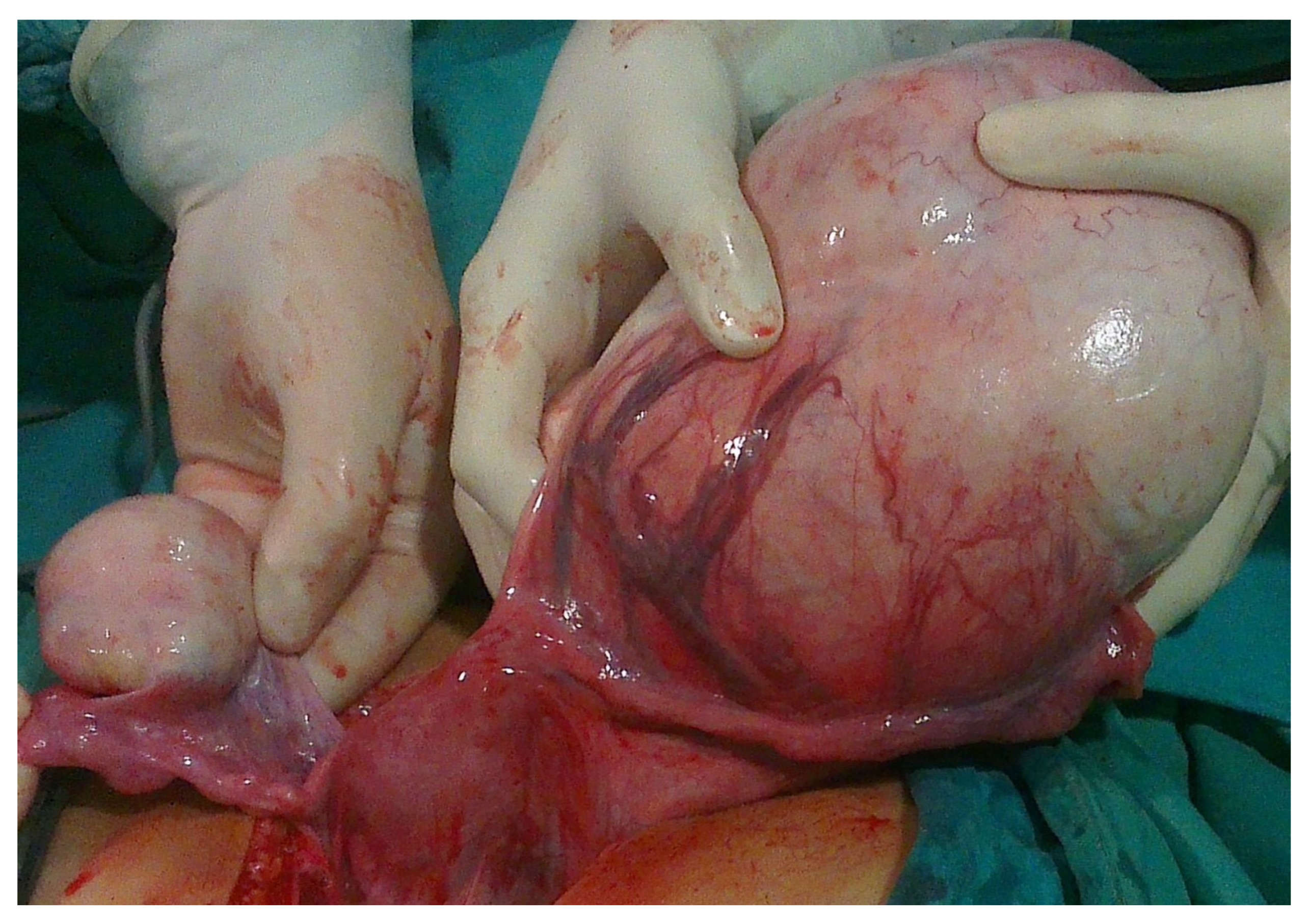 Healthcare 13 00775 g004