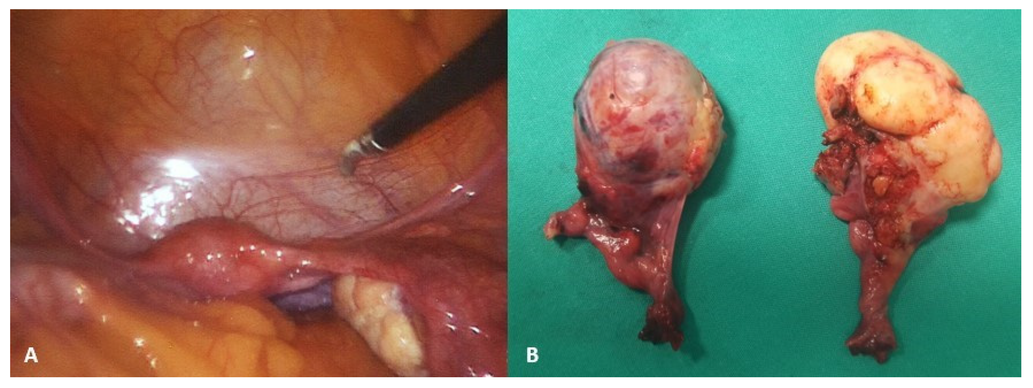 Healthcare 13 00775 g005