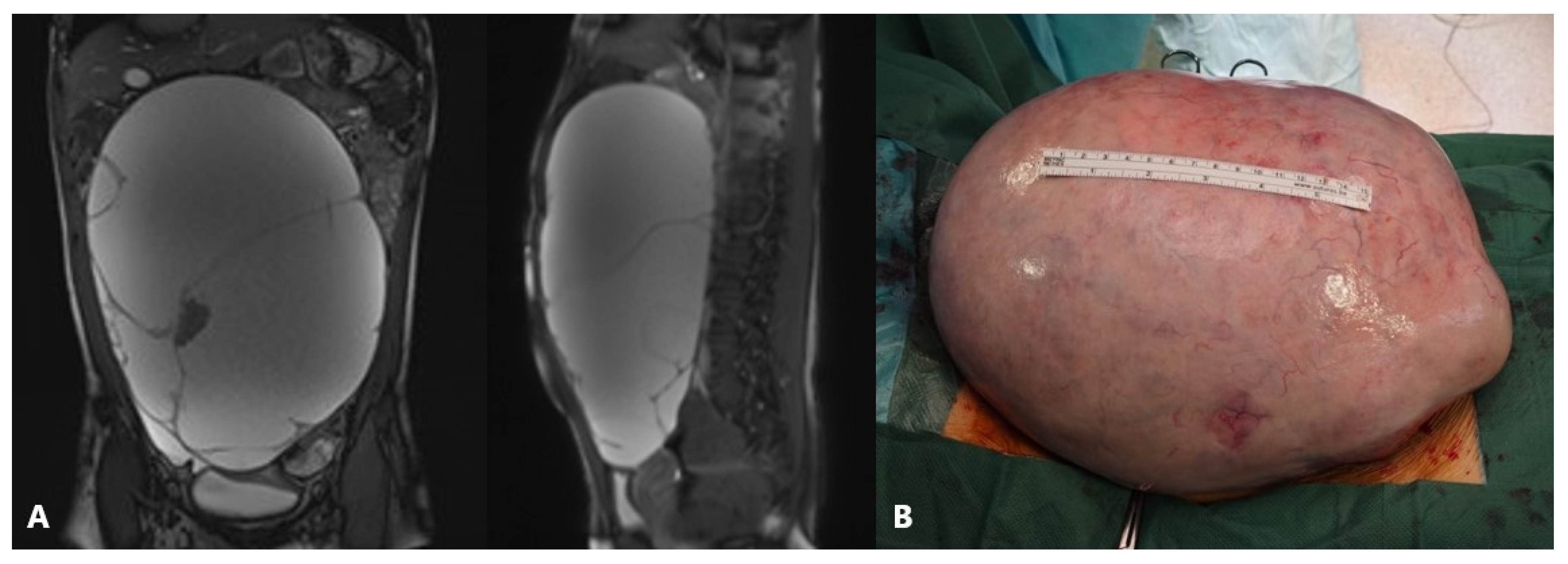 Healthcare 13 00775 g006