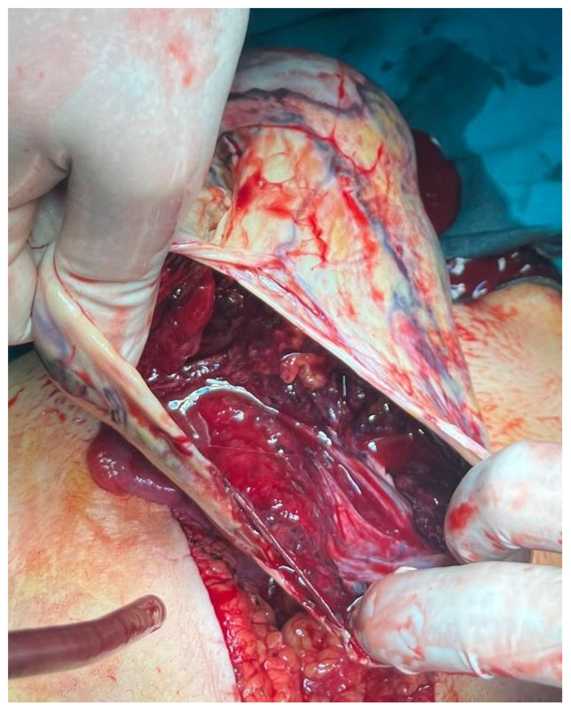 Healthcare 13 00775 g008