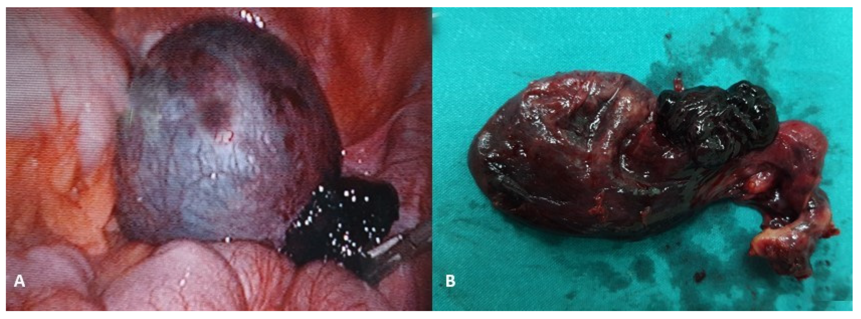 Healthcare 13 00775 g009