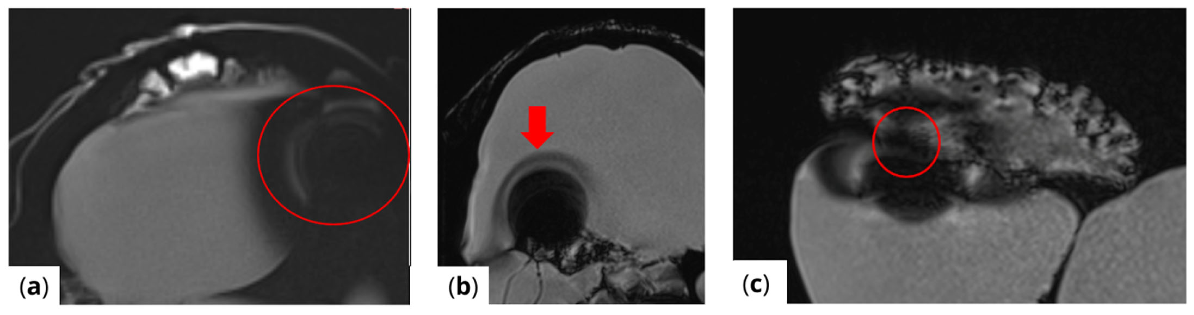 Healthcare 13 00803 g003