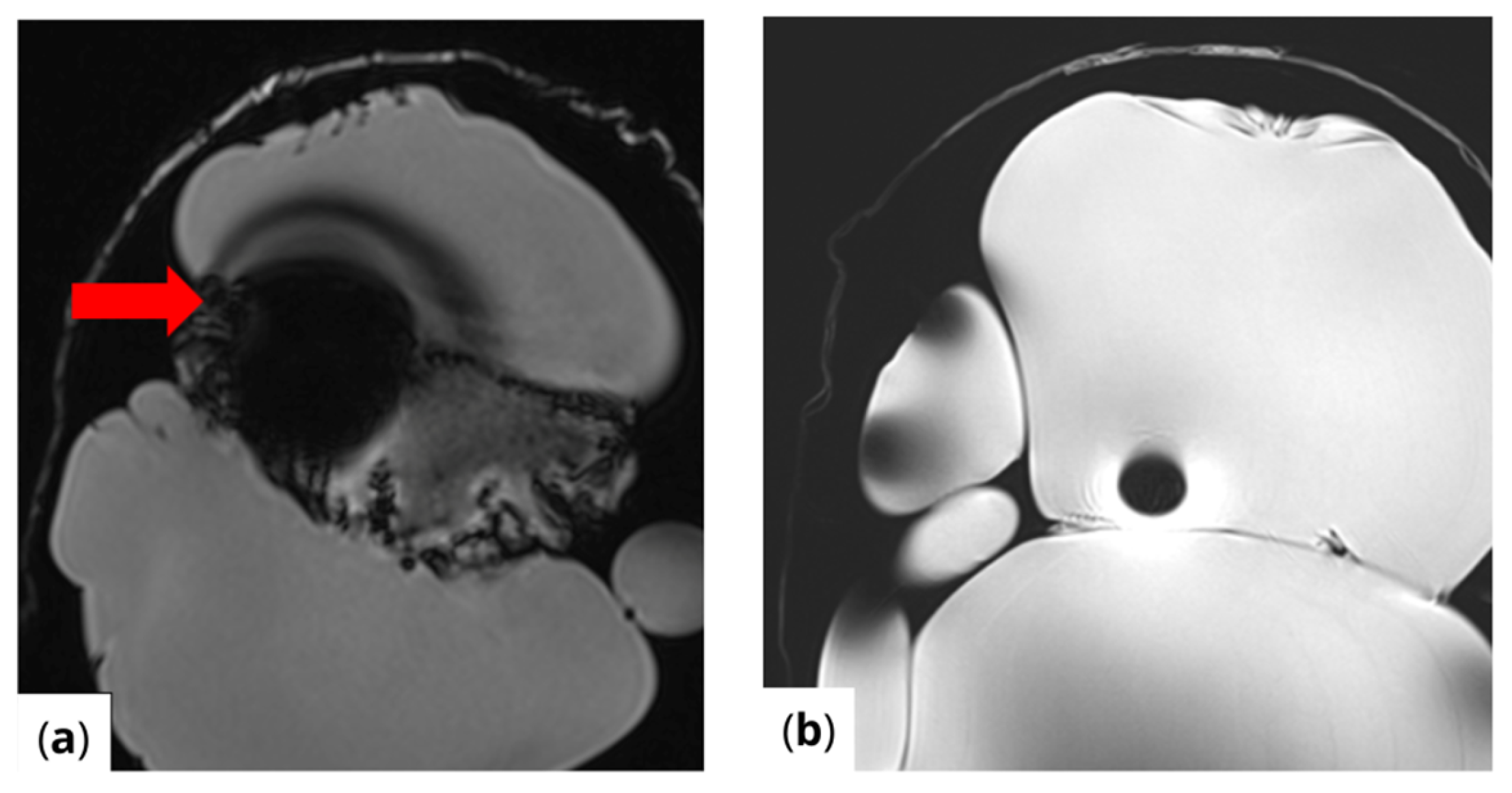 Healthcare 13 00803 g004