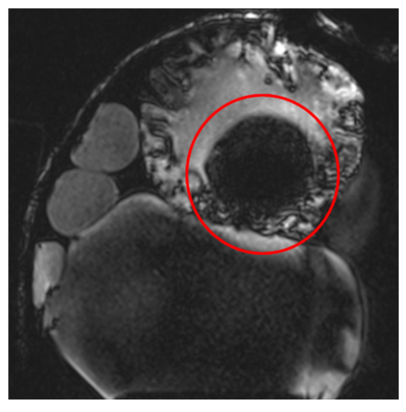 Healthcare 13 00803 g006