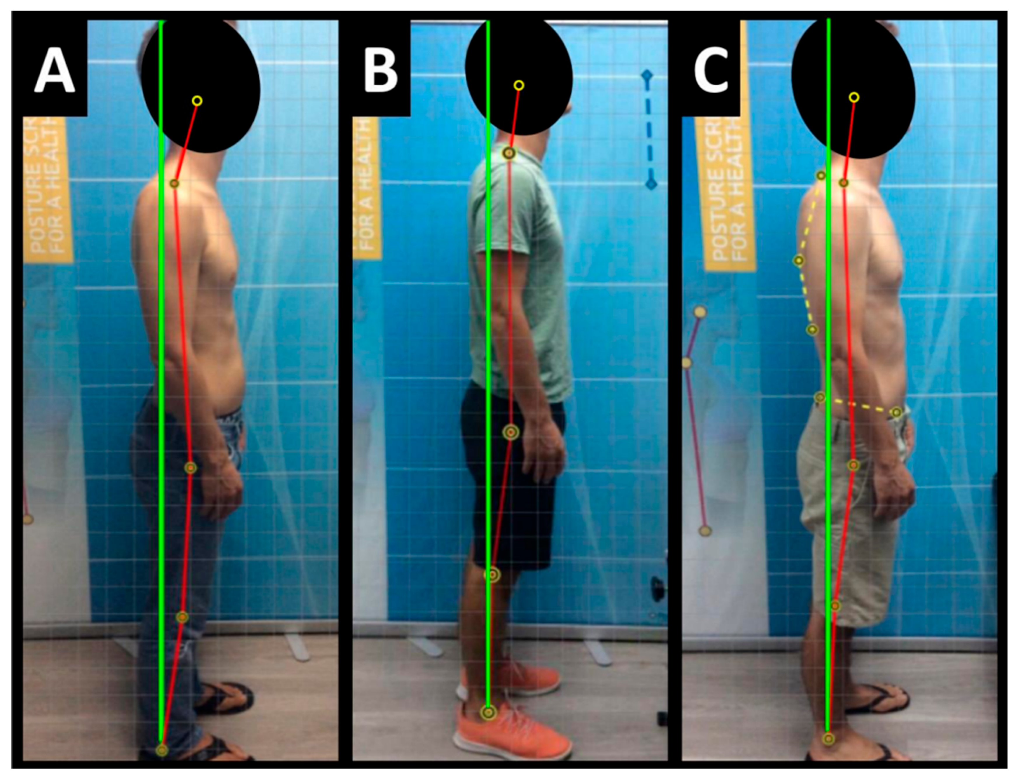 Healthcare 13 00814 g001