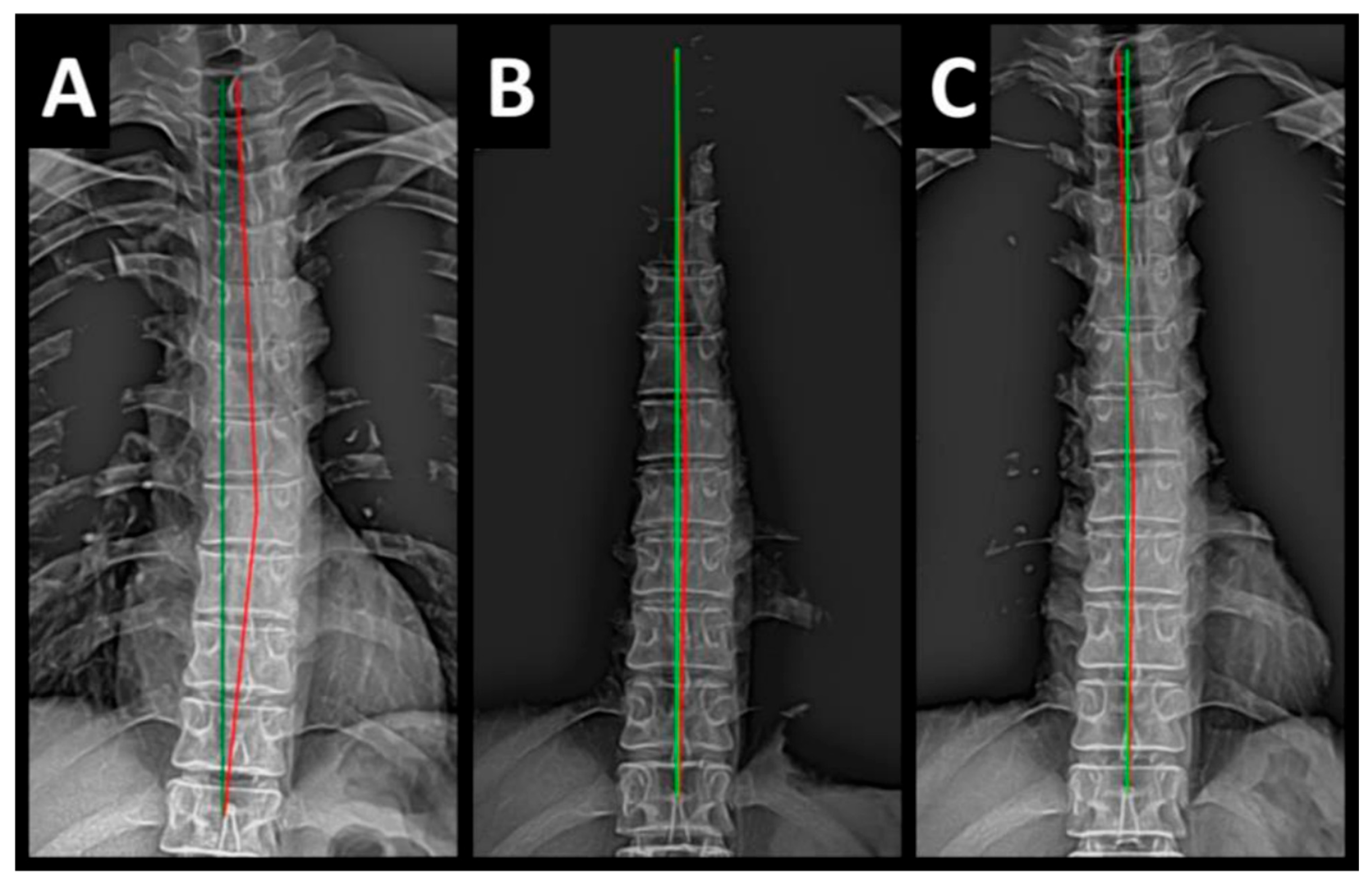 Healthcare 13 00814 g004