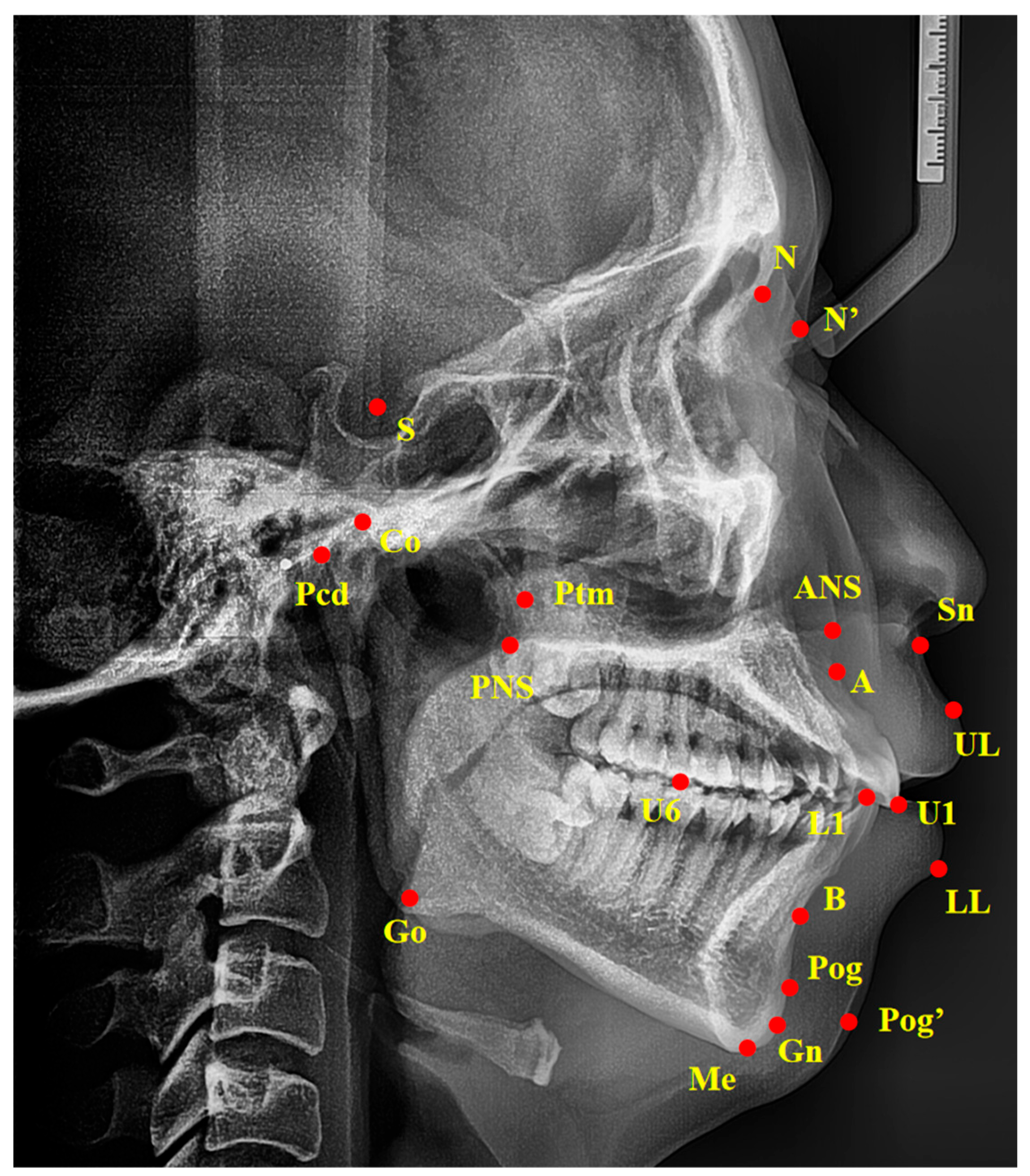 Healthcare 13 00913 g001