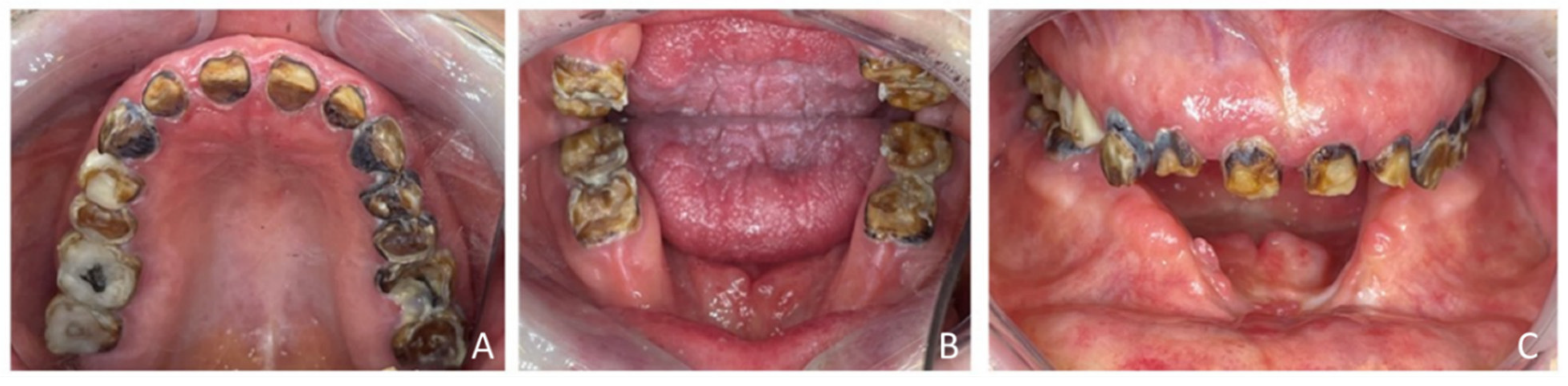 Healthcare 13 00940 g002