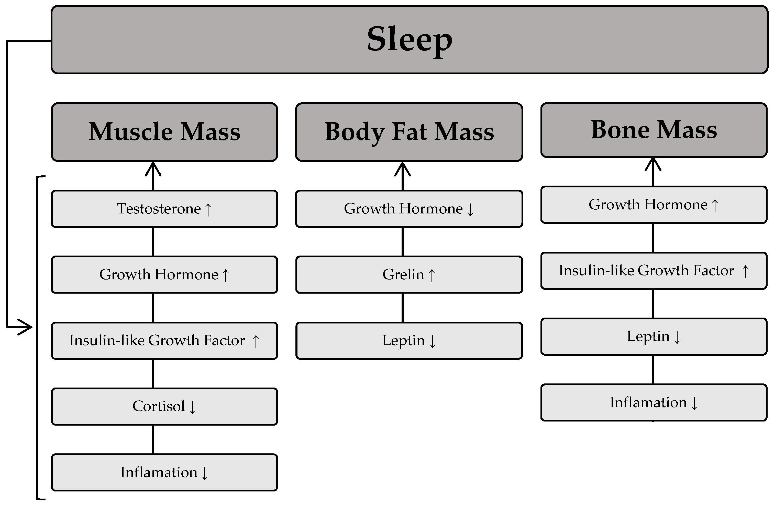 Healthcare 13 00949 g003