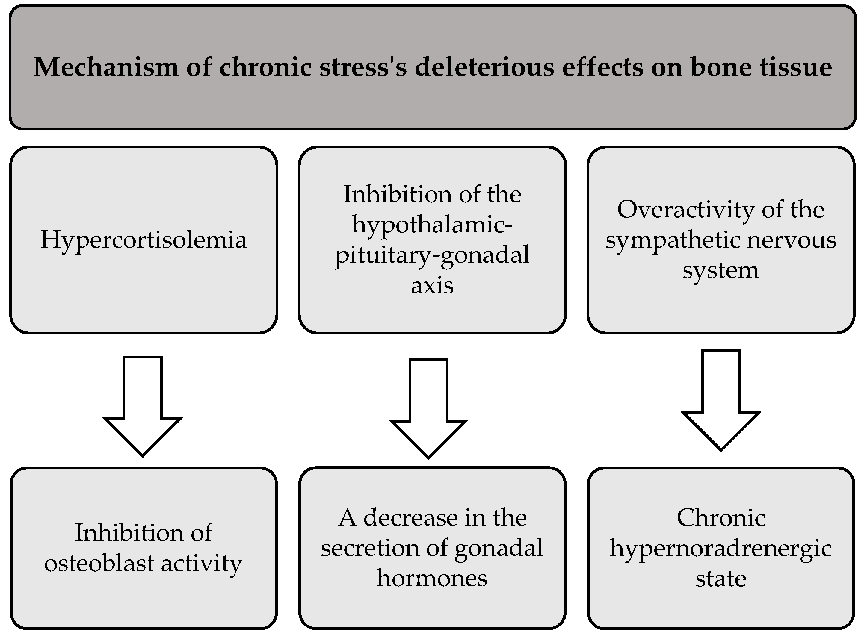 Healthcare 13 00949 g004