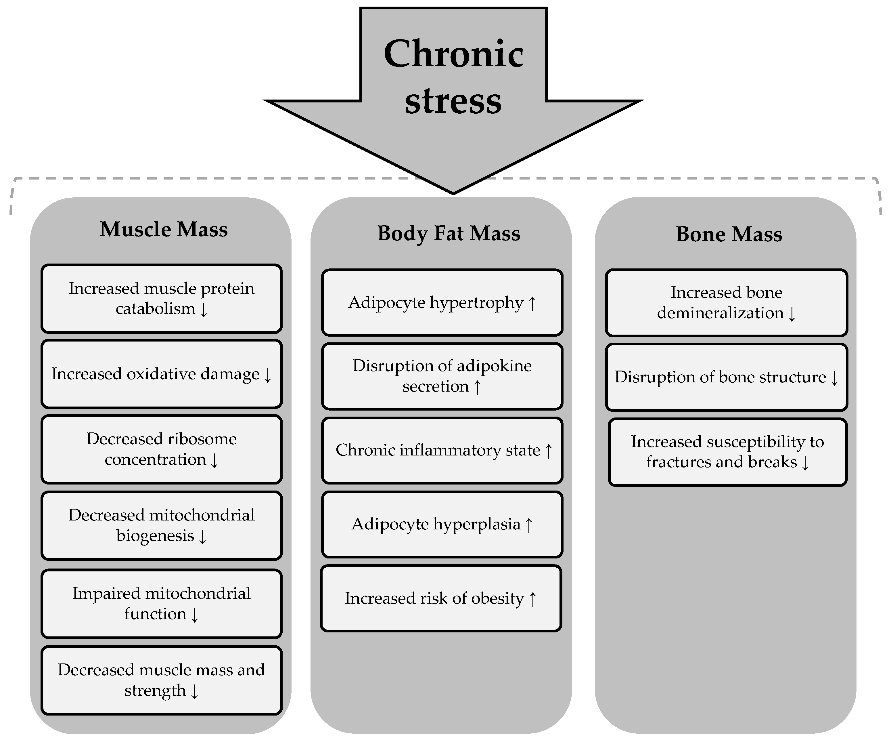 Healthcare 13 00949 g005