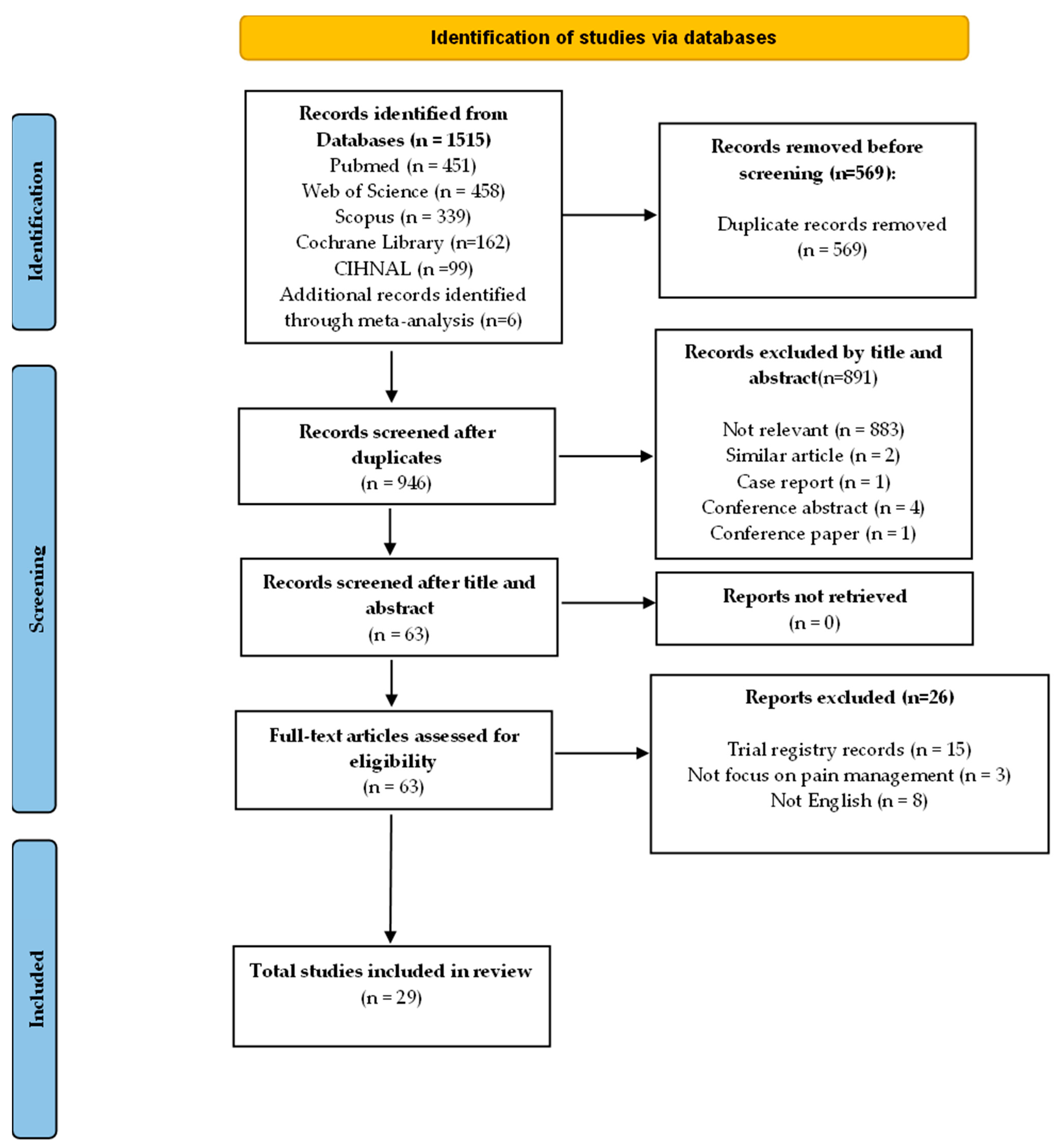 Healthcare 13 00994 g001