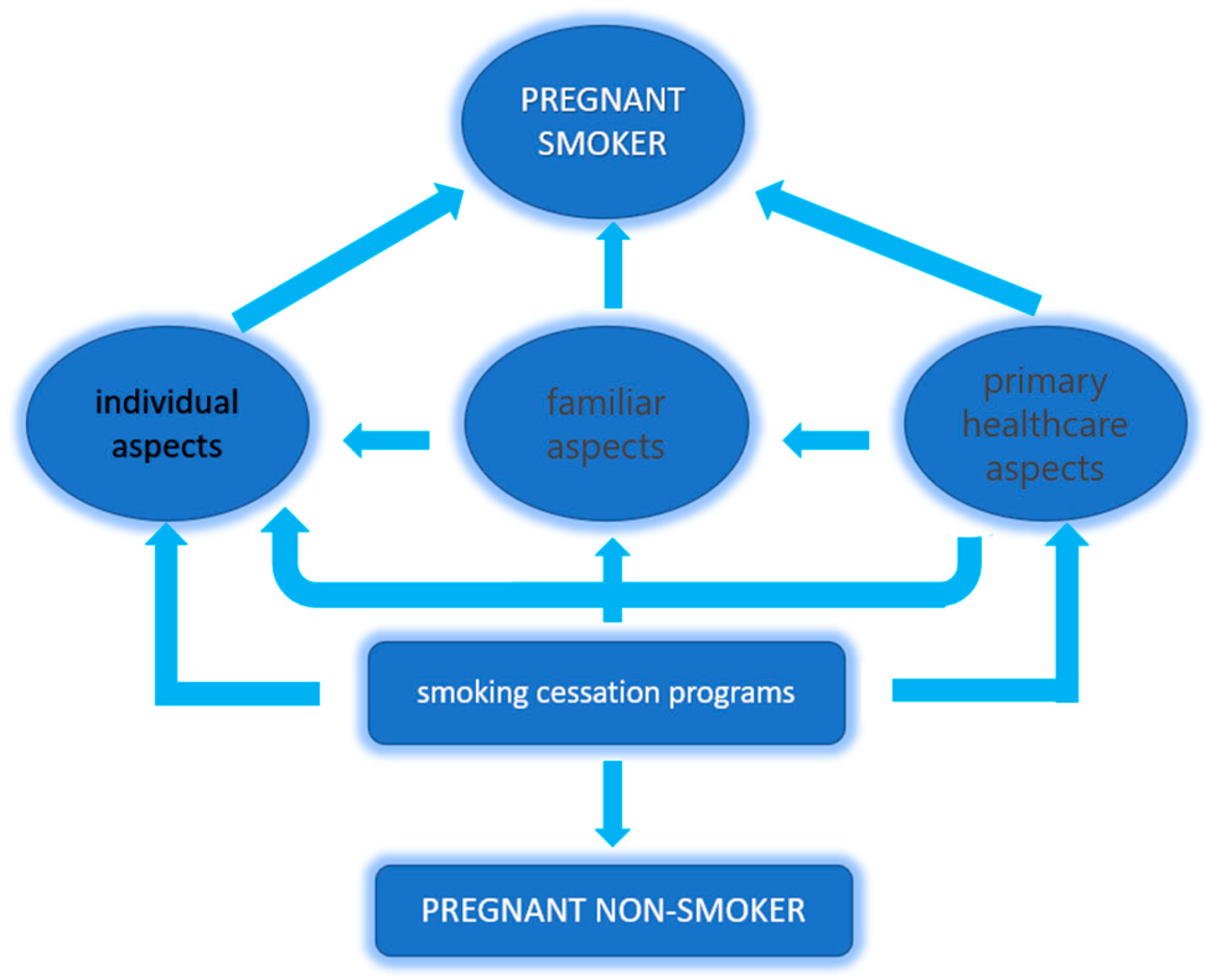 Healthcare 13 01005 g002