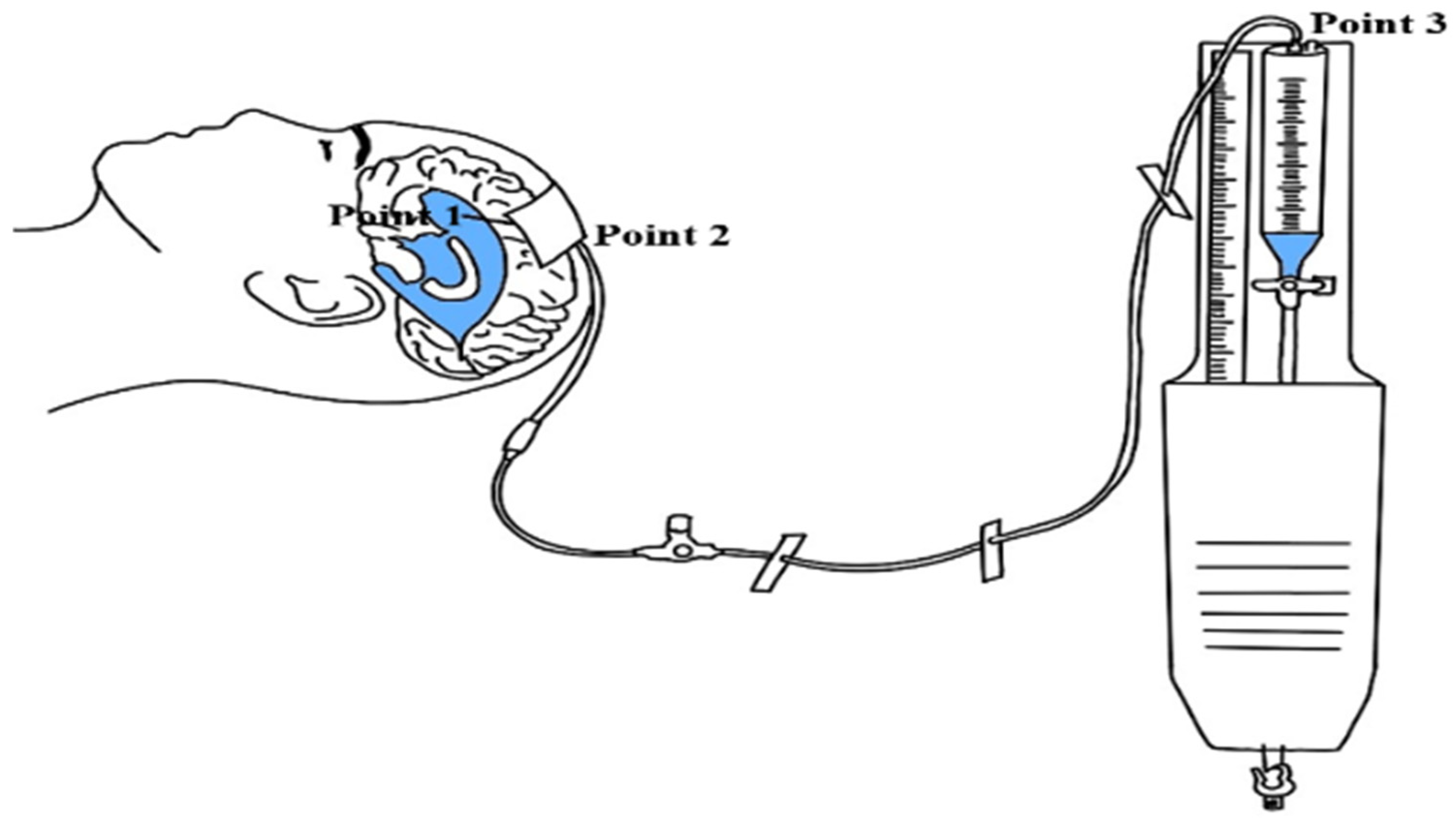 Healthcare 13 01009 g001