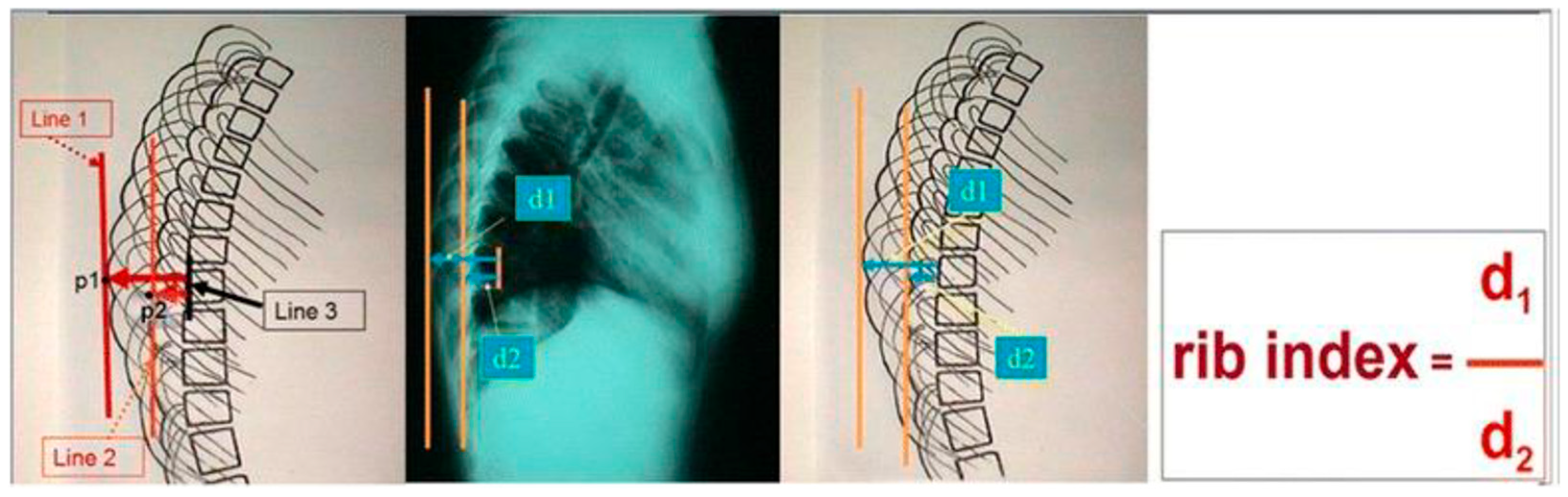 Healthcare 13 01014 g002